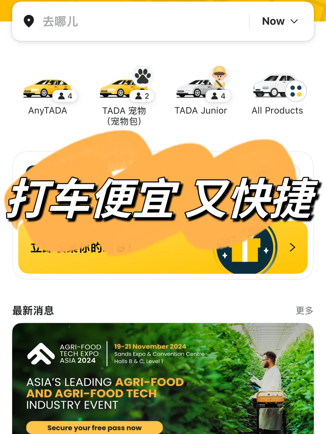 新加坡留子都在苦求的好软，大揭秘🎉