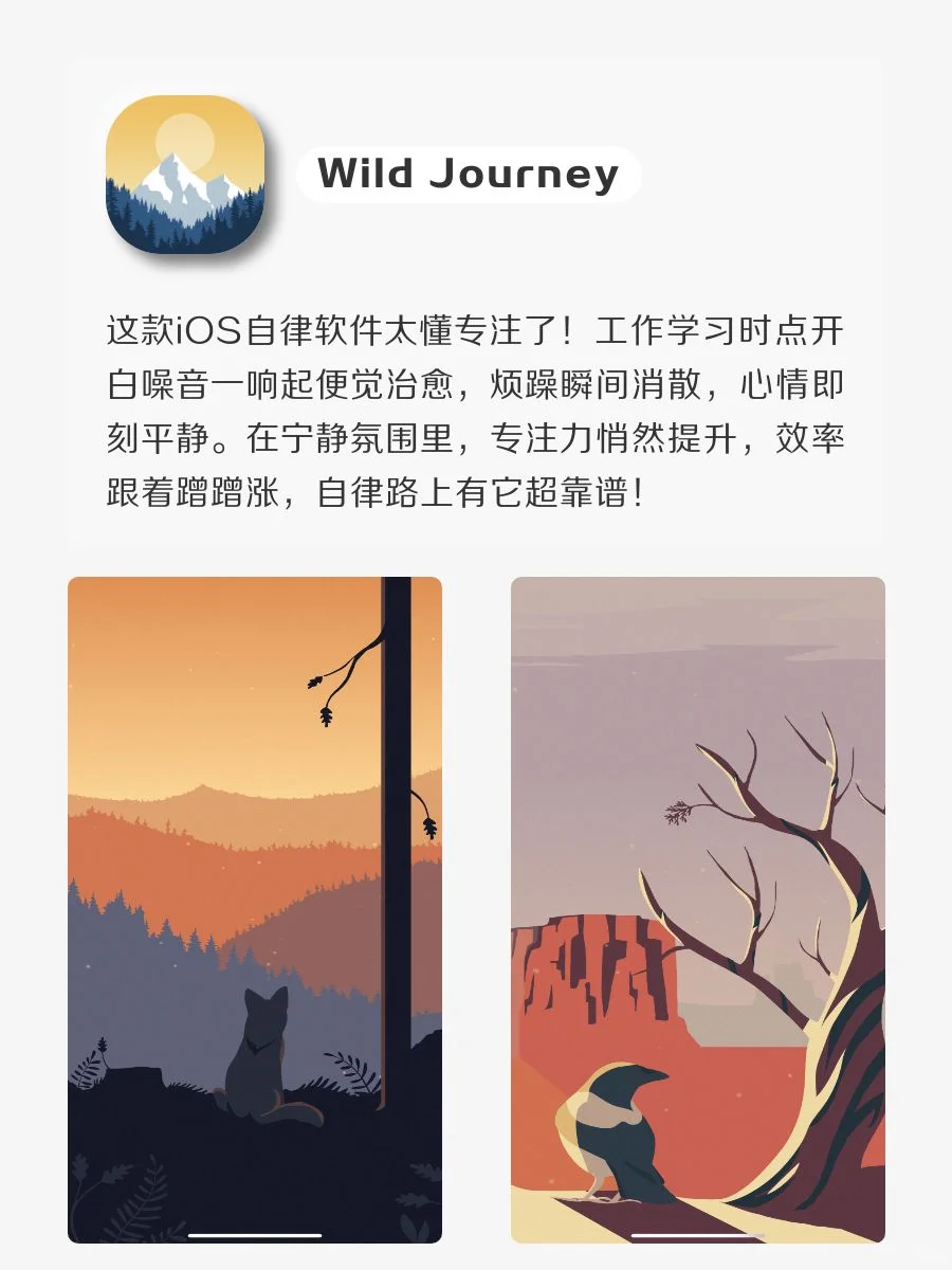 女生内卷神器！打死也不卸载‼️