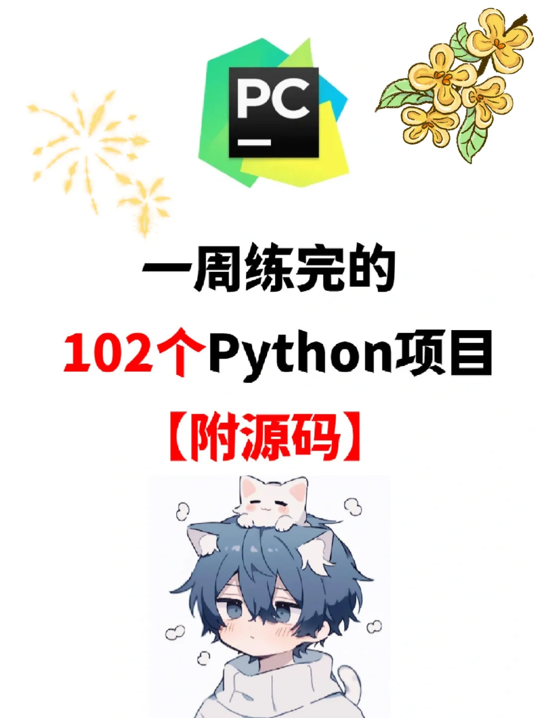 一周练完的102个Python项目，附源码