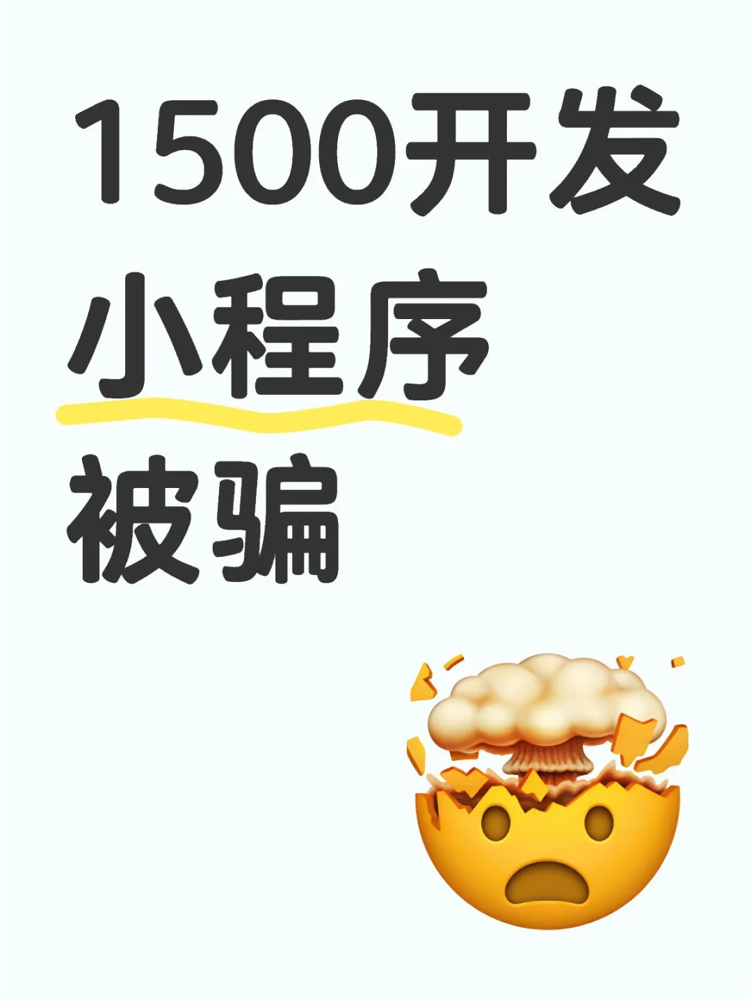 1500开发小程序被骗