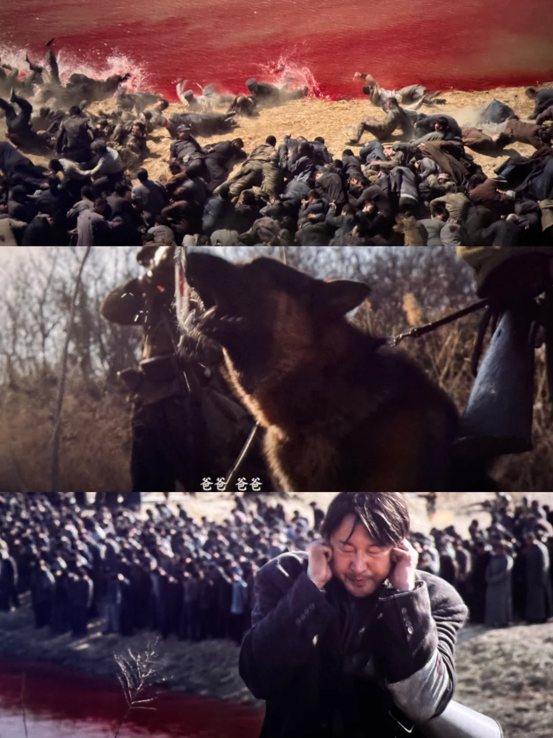 《南京照相馆》后劲太大了！一定要去看看！