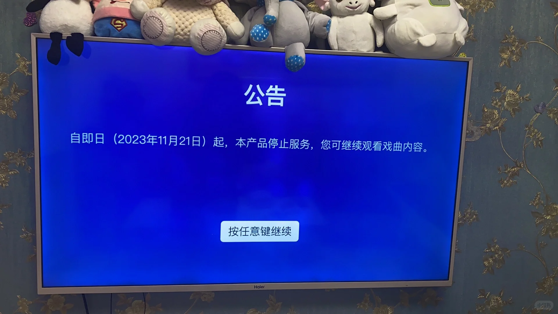 电视盒不能看直播了