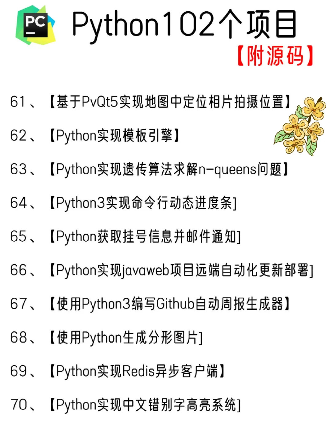 一周练完的102个Python项目，附源码