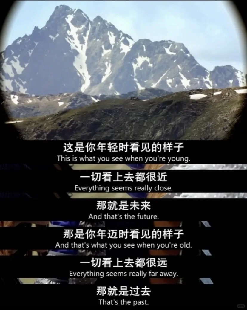 😭今年最爱的人生电影，没有之一❗️❗❗