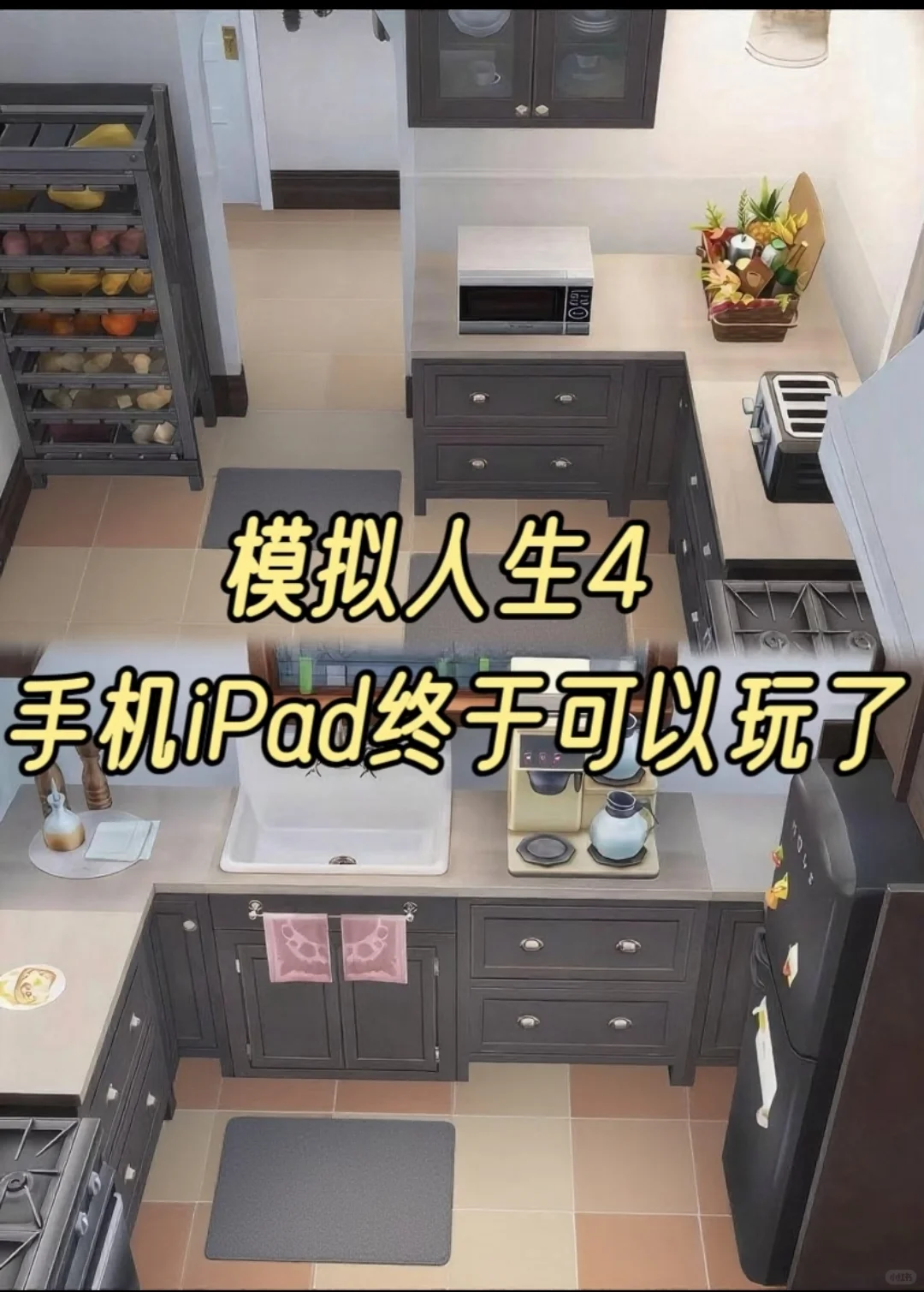🎉iOS 党狂喜！模拟人生 4 iPad 版终于能