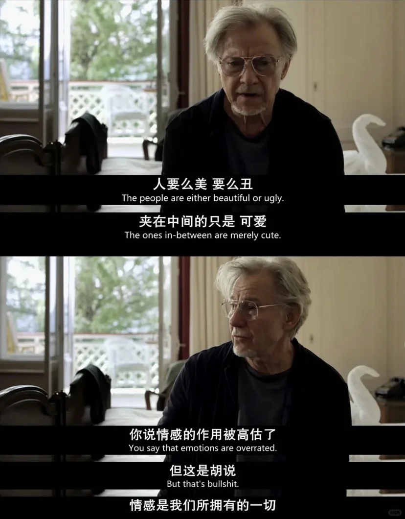 😭今年最爱的人生电影，没有之一❗️❗❗