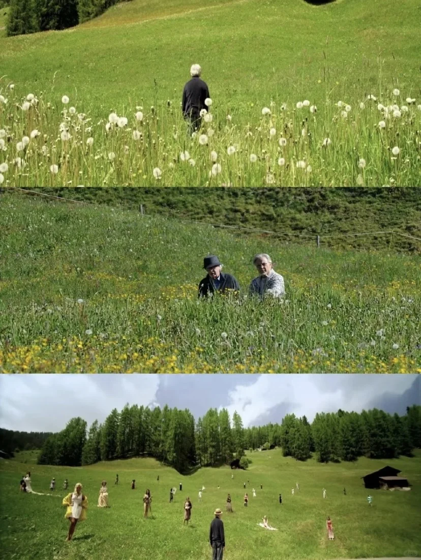 😭今年最爱的人生电影，没有之一❗️❗❗