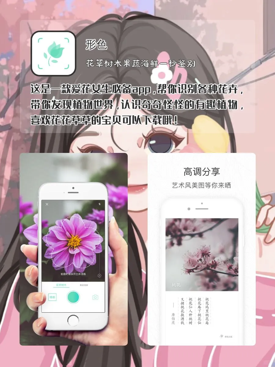 高质量APP!‼️
