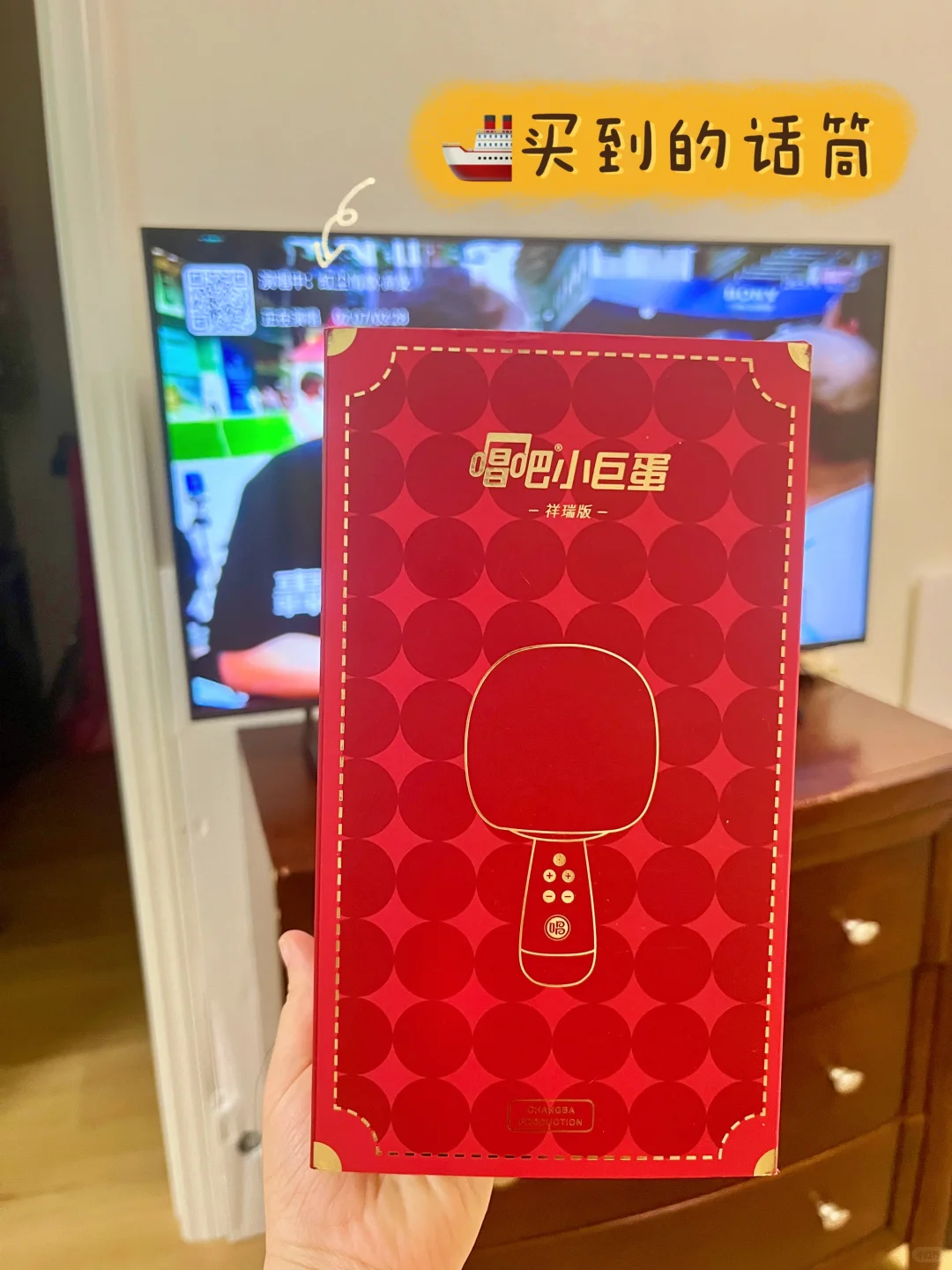 感谢小红书！海外华人在家也实现KTV自由啦！