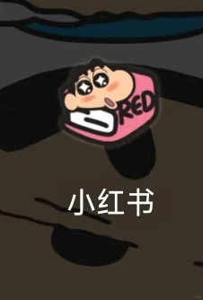 想看一下大家的小红书图标