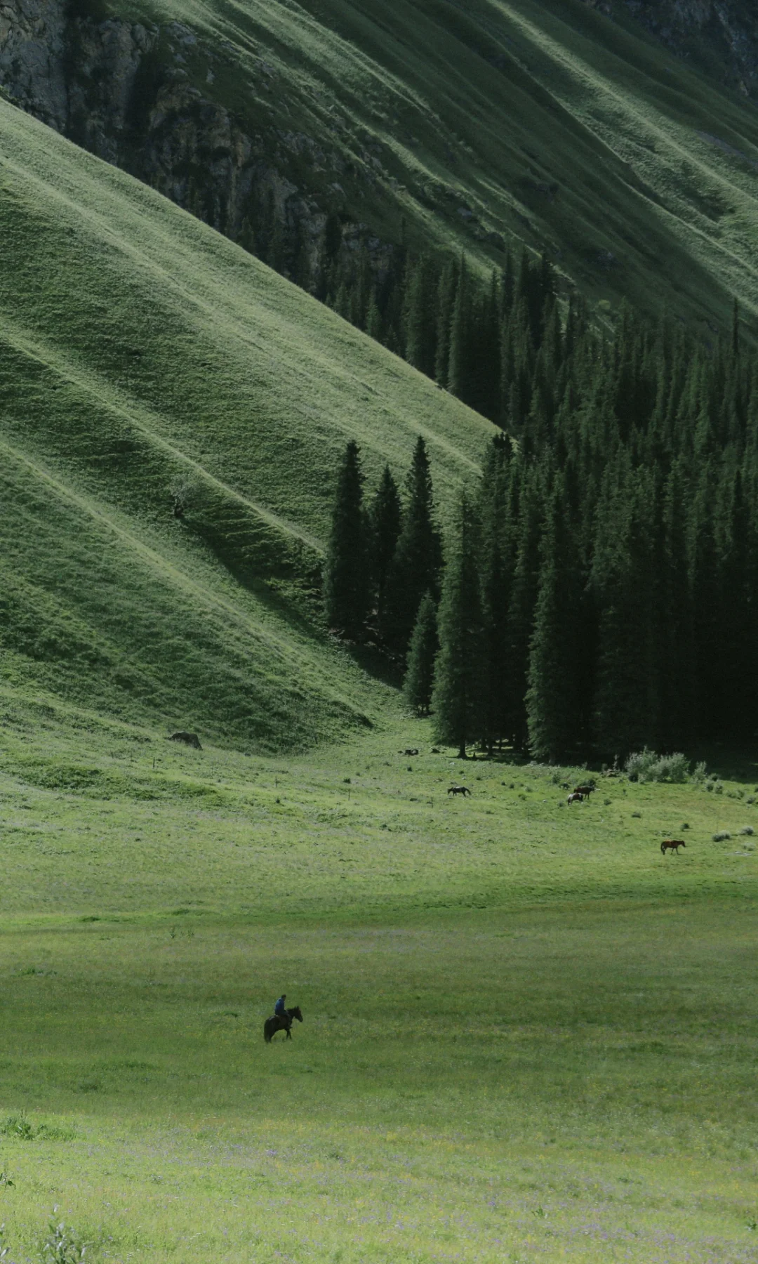 那些瞬间 值得满屏【这样发】