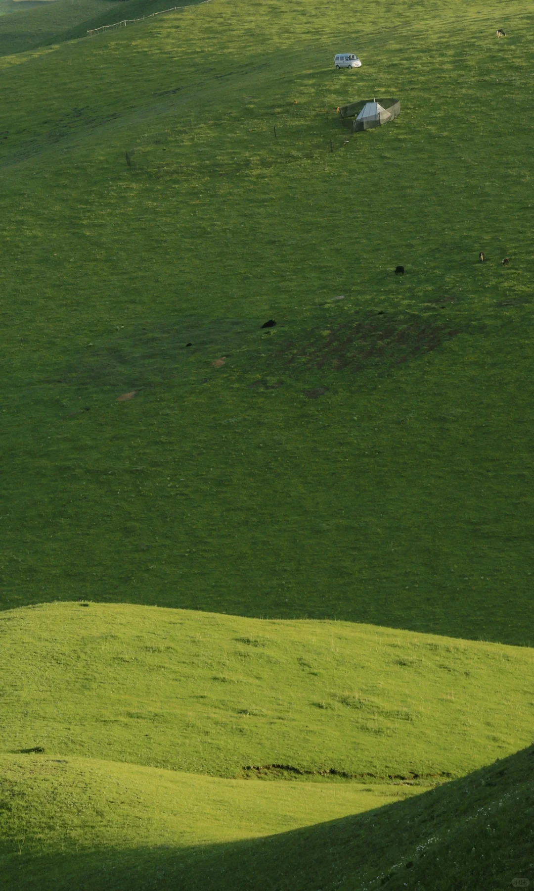 那些瞬间 值得满屏【这样发】