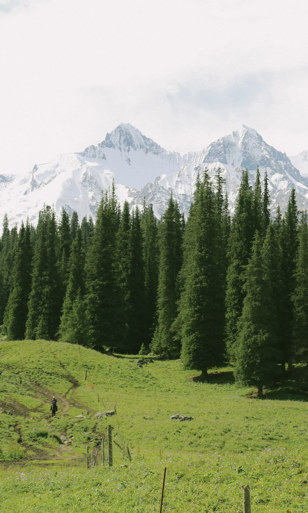 那些瞬间 值得满屏【这样发】