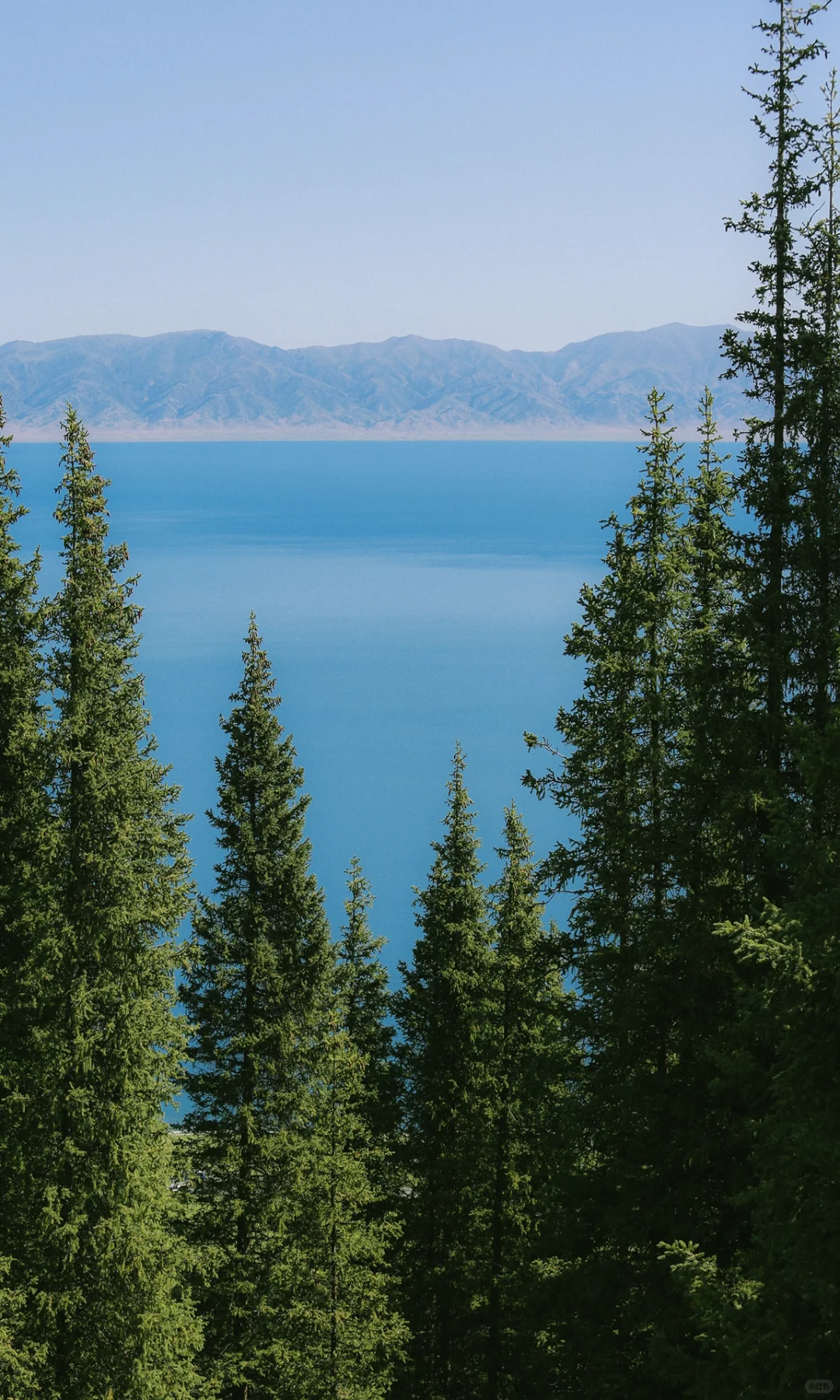 那些瞬间 值得满屏【这样发】