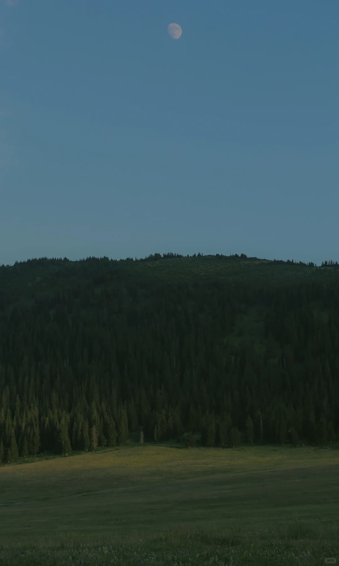 那些瞬间 值得满屏【这样发】