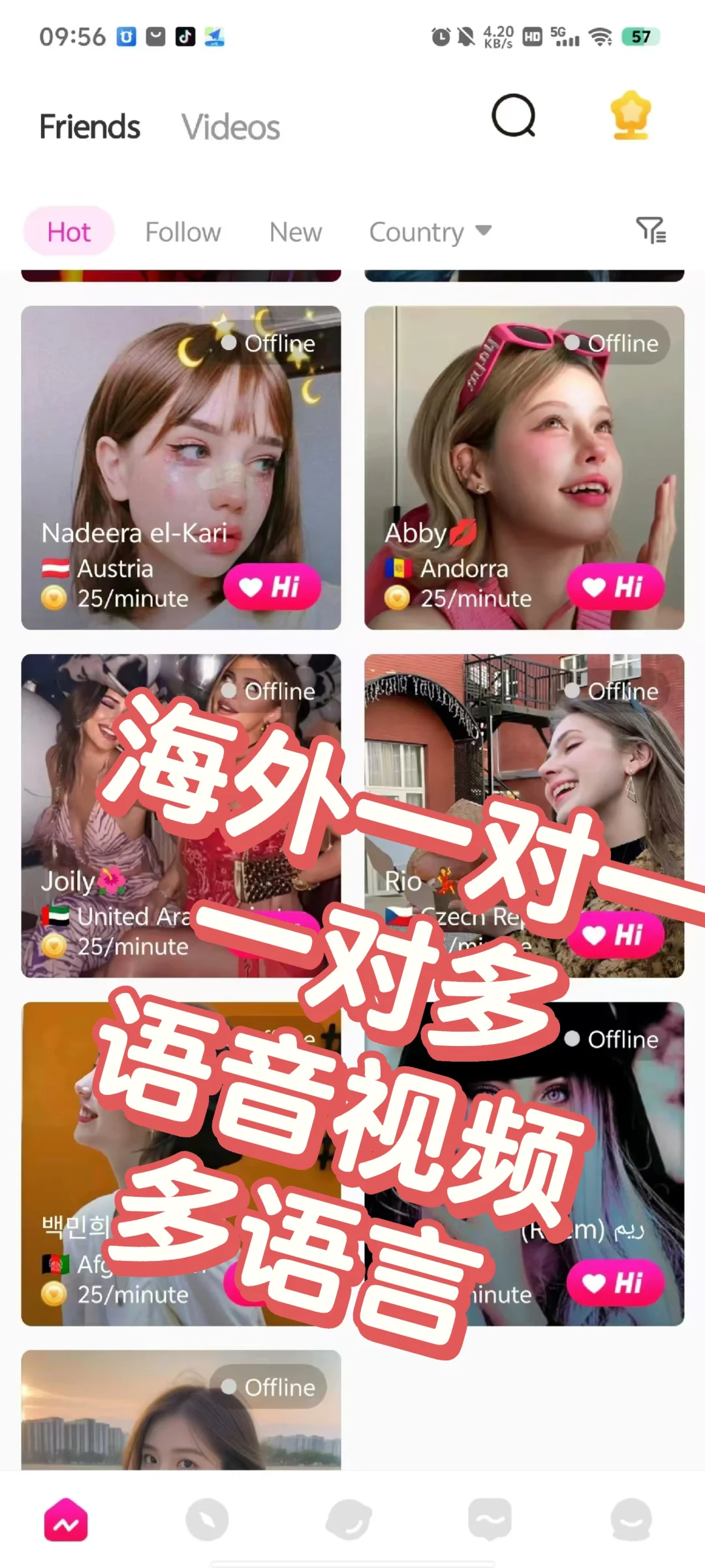 海外一对一交友市场收益如何开发费用