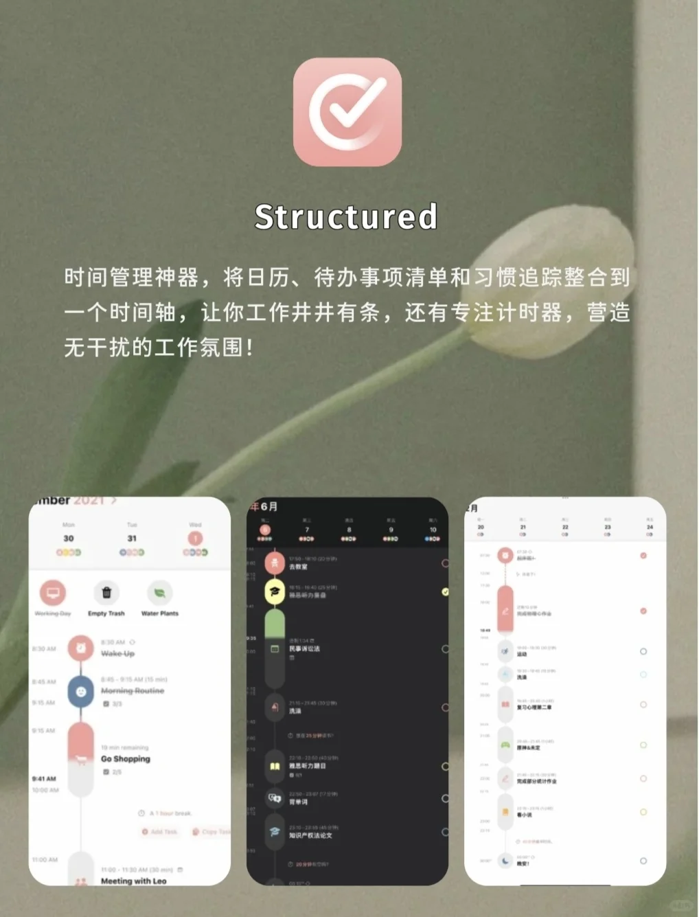 打工人高效率必备工具🛠️用好提前摸鱼