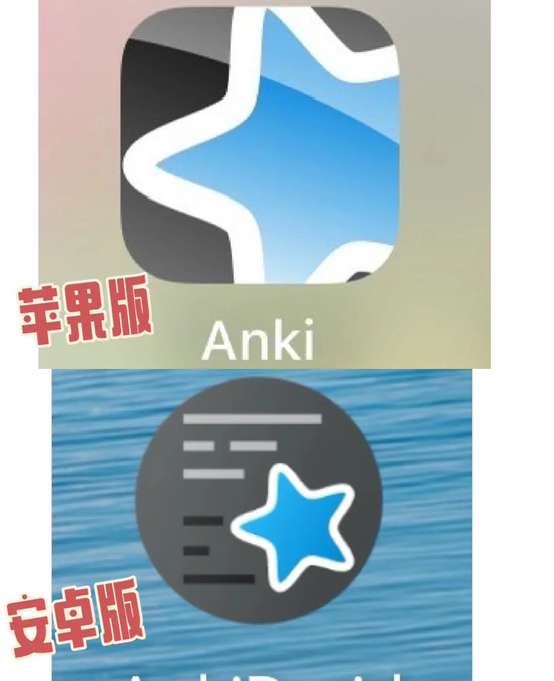卡牌anki使用教程（下）安卓版