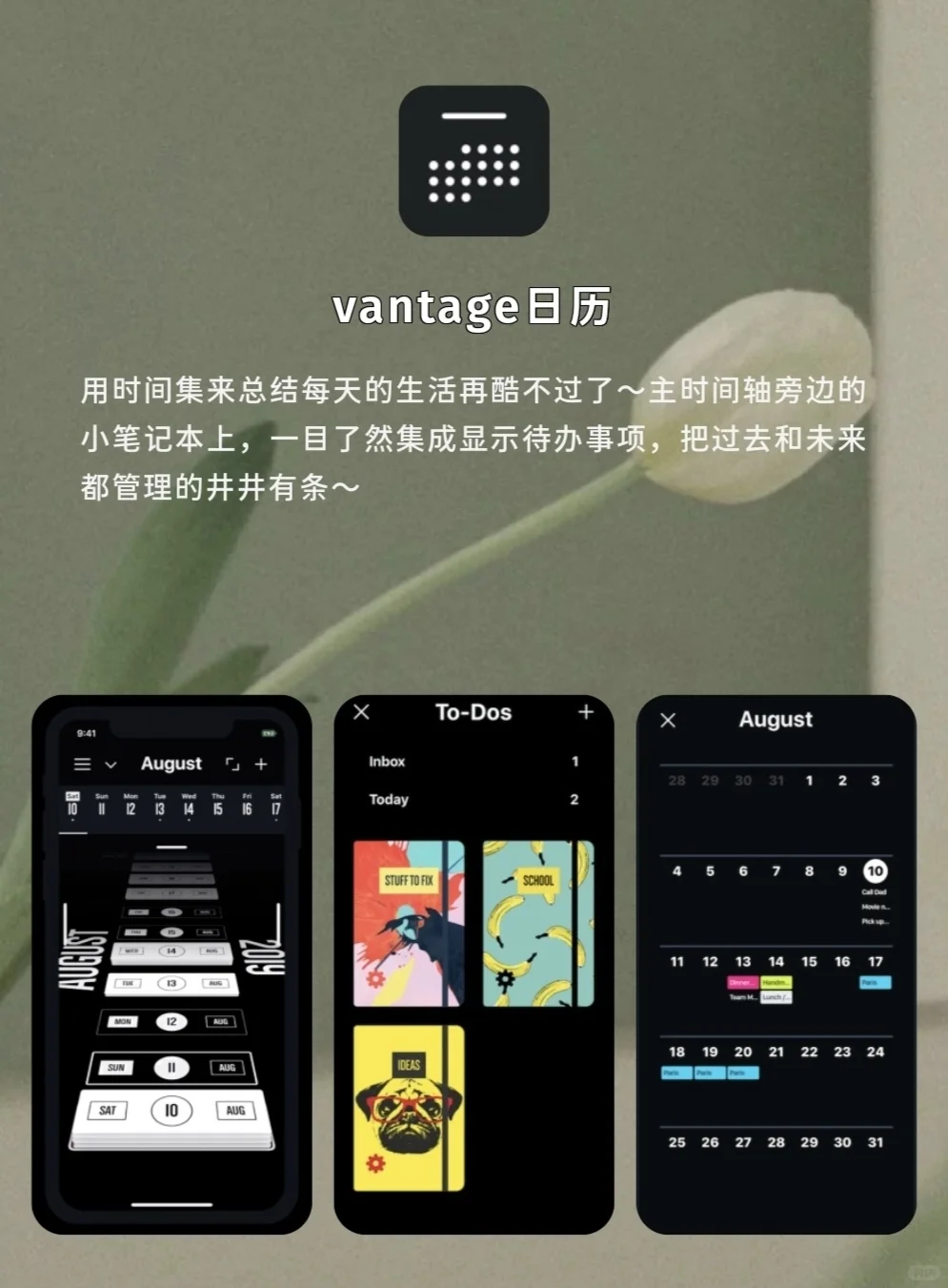 打工人高效率必备工具🛠️用好提前摸鱼