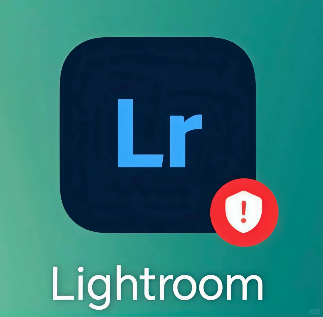 问问你们的安卓版lr是怎么下载的呢