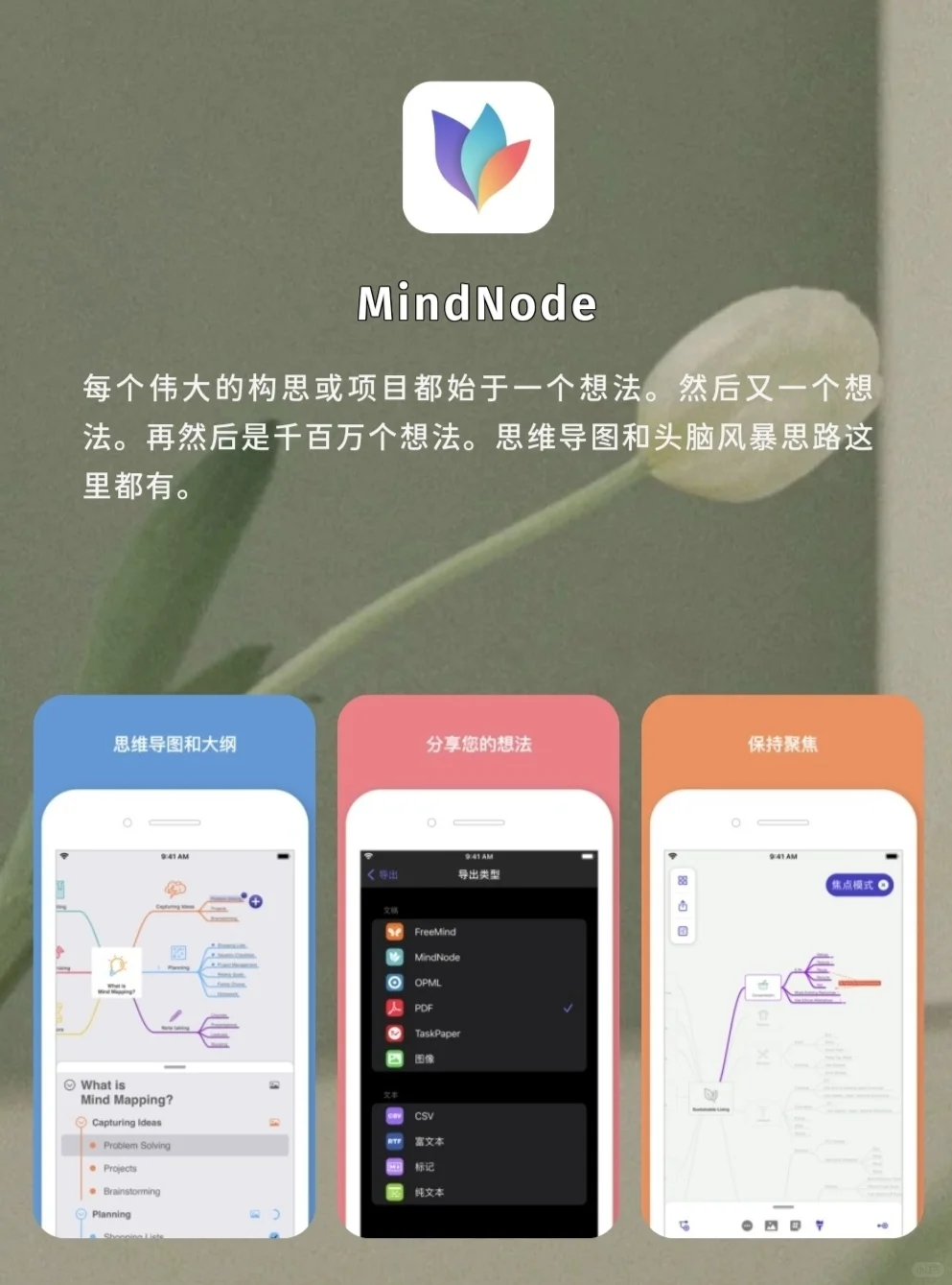 打工人高效率必备工具🛠️用好提前摸鱼