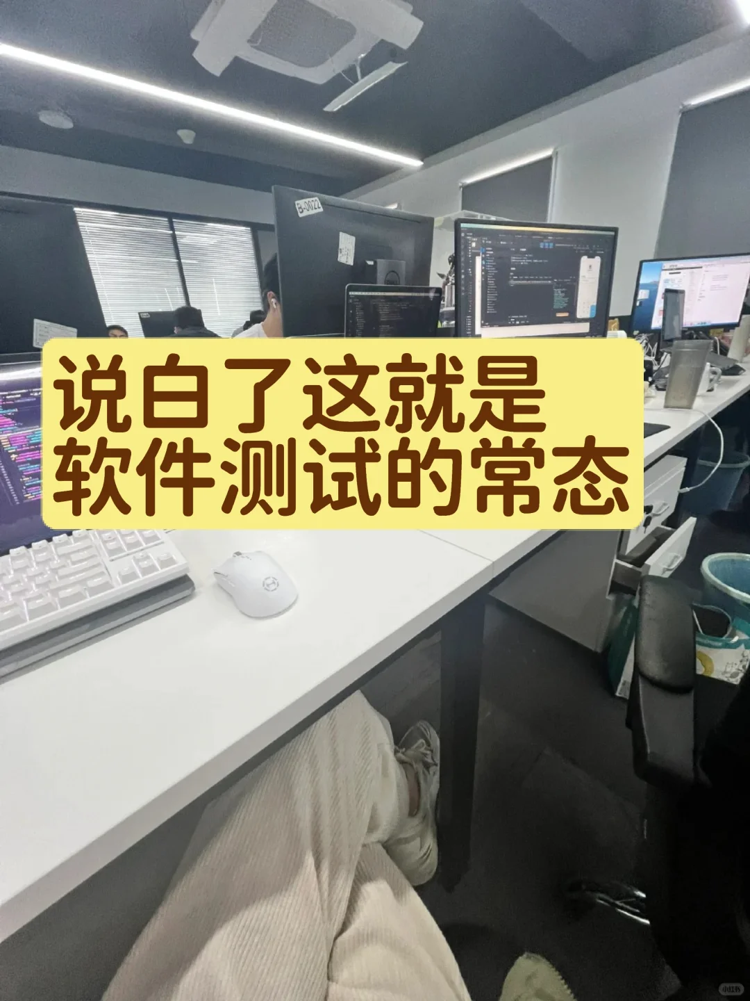 软件测试的真实状态竟……