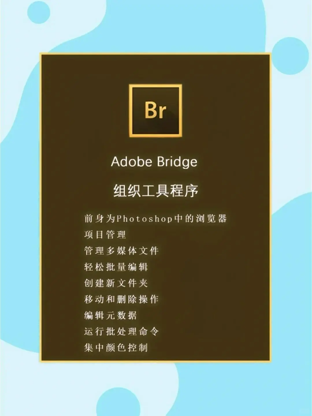 Adobe全家桶2025最新版！附安装教程