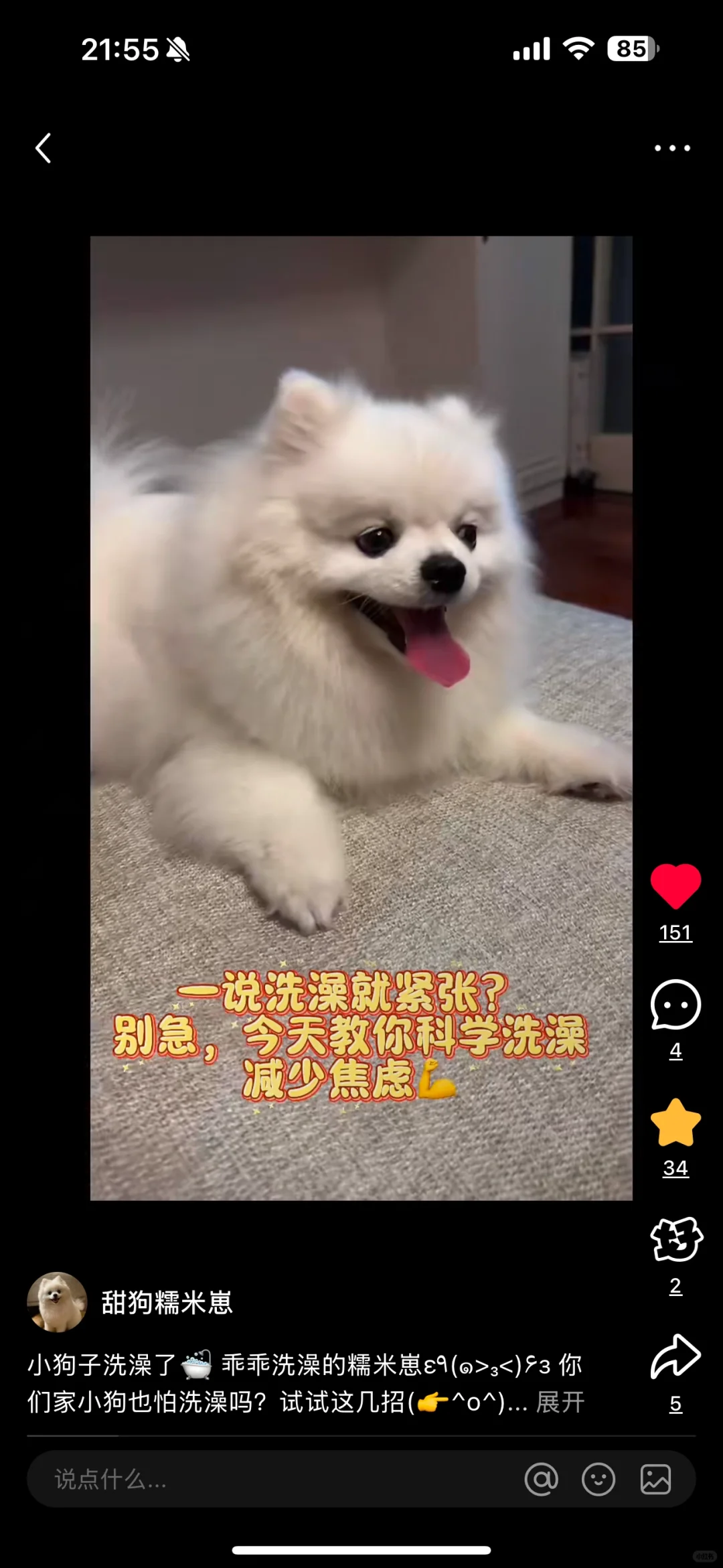 救命🆘 DeepSeek写的脚本也太神了！