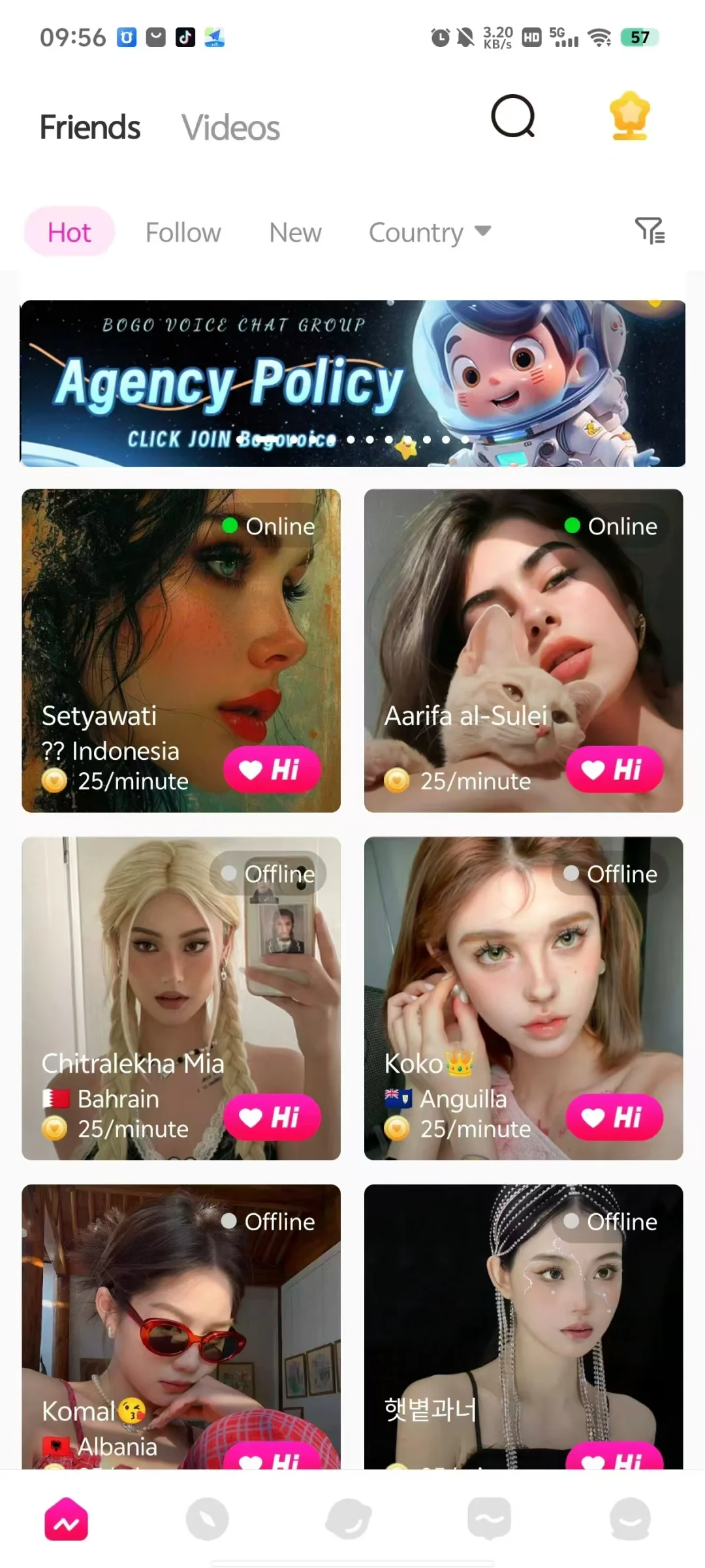 海外一对一交友市场收益如何开发费用