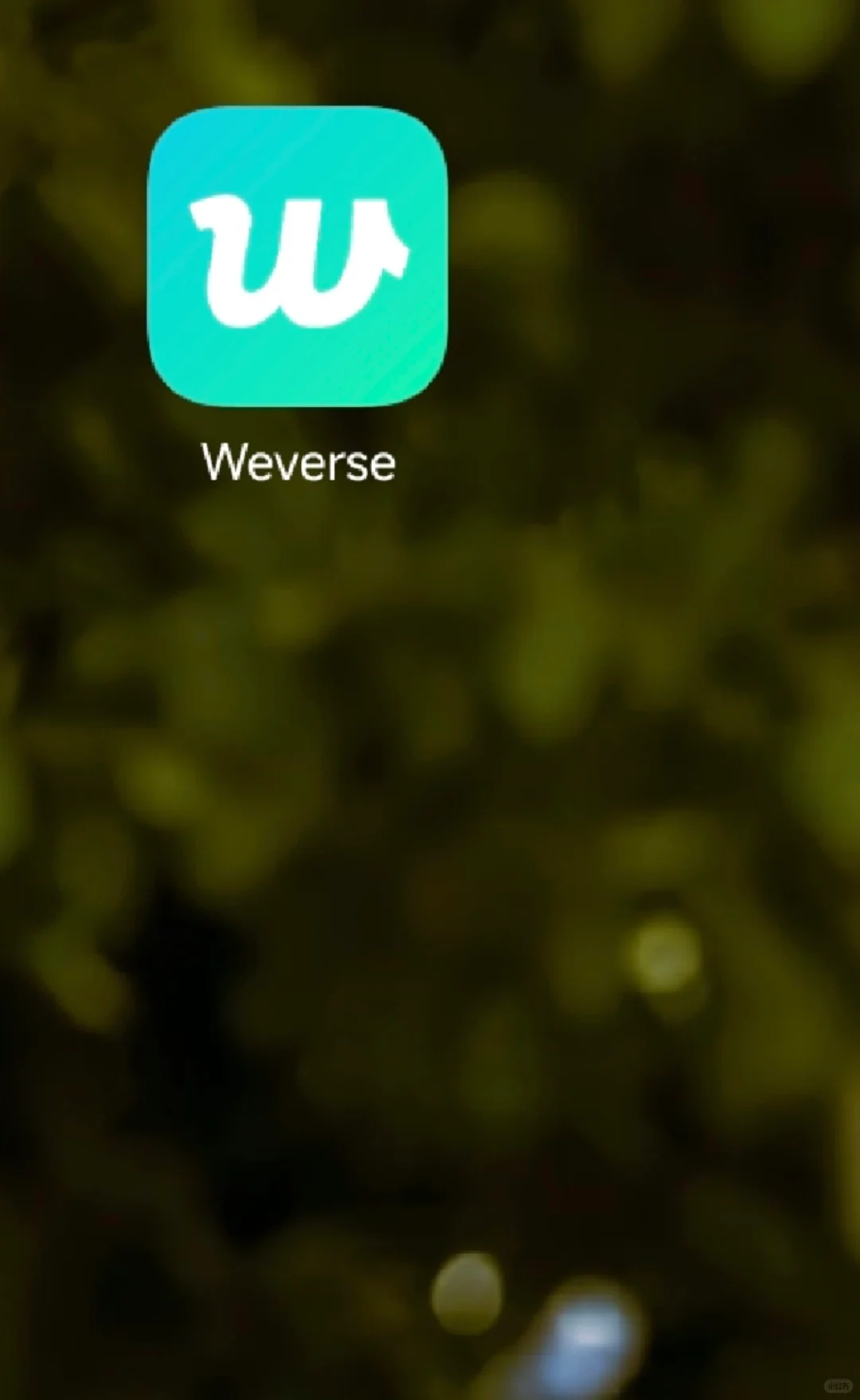 如何将出境易中所下载的APP添加至桌面