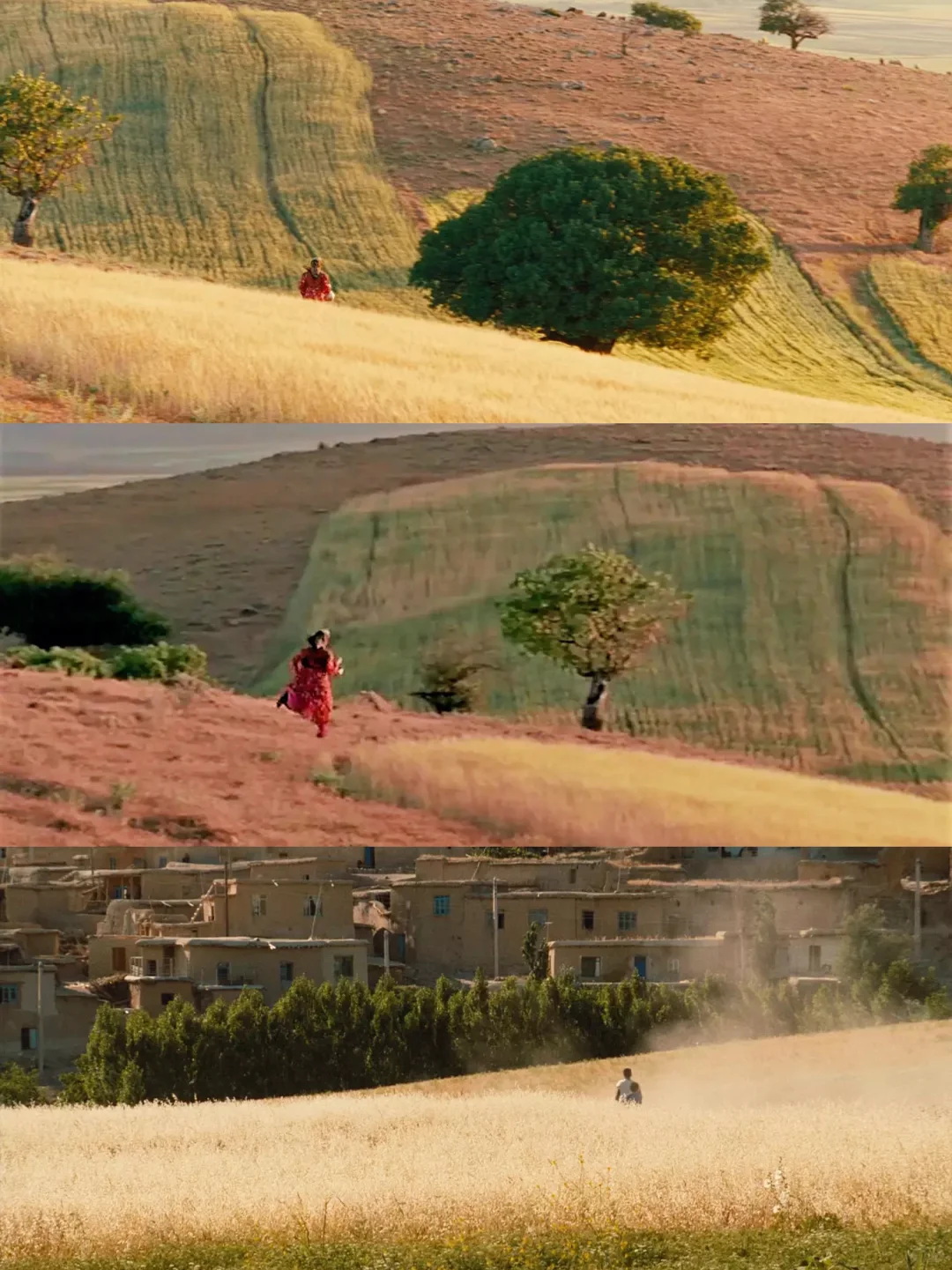 我真的好爱这部电影😭强推给全世界❗️❗️❗️