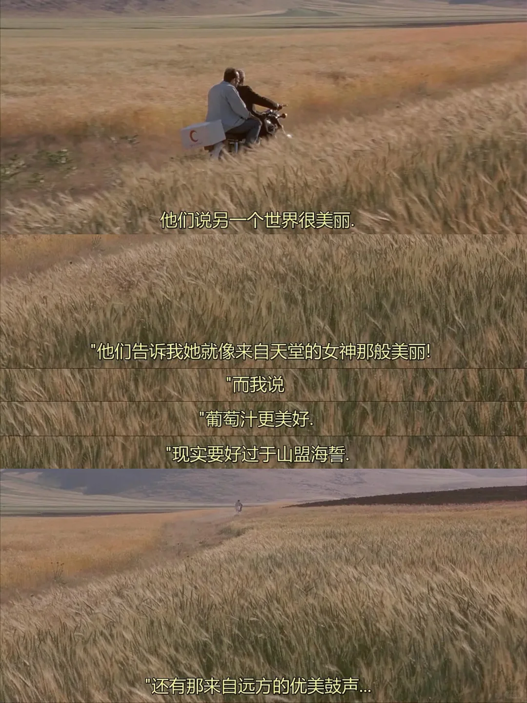 我真的好爱这部电影😭强推给全世界❗️❗️❗️