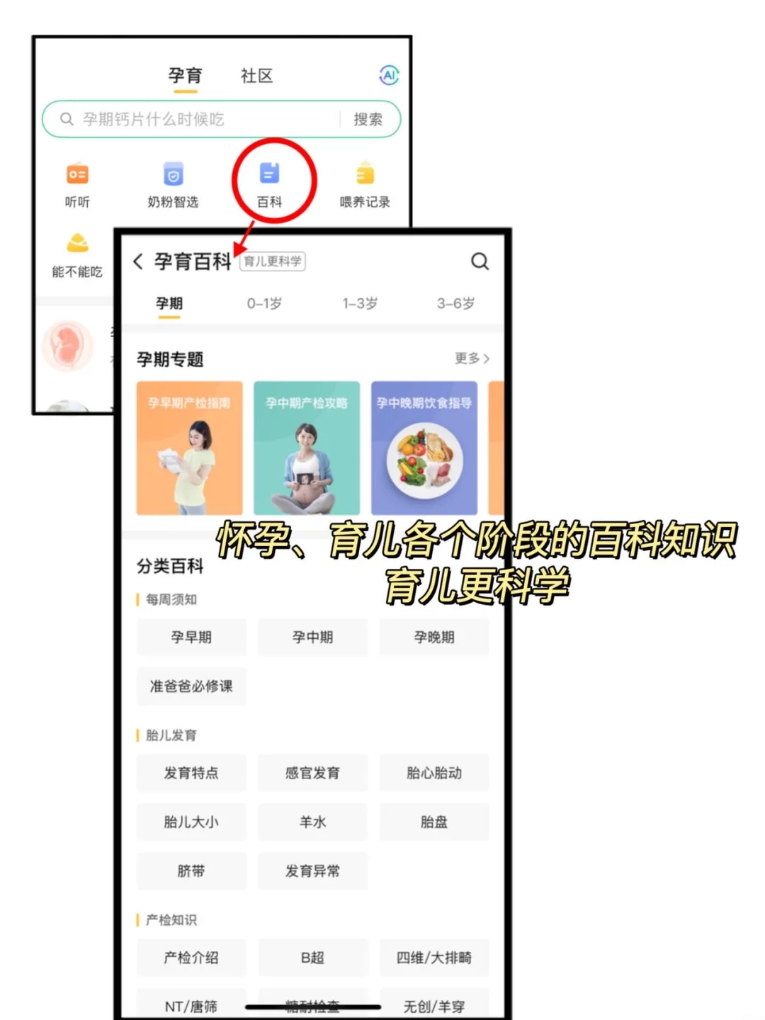 孕期宝藏app｜缓解了我的孕期焦虑