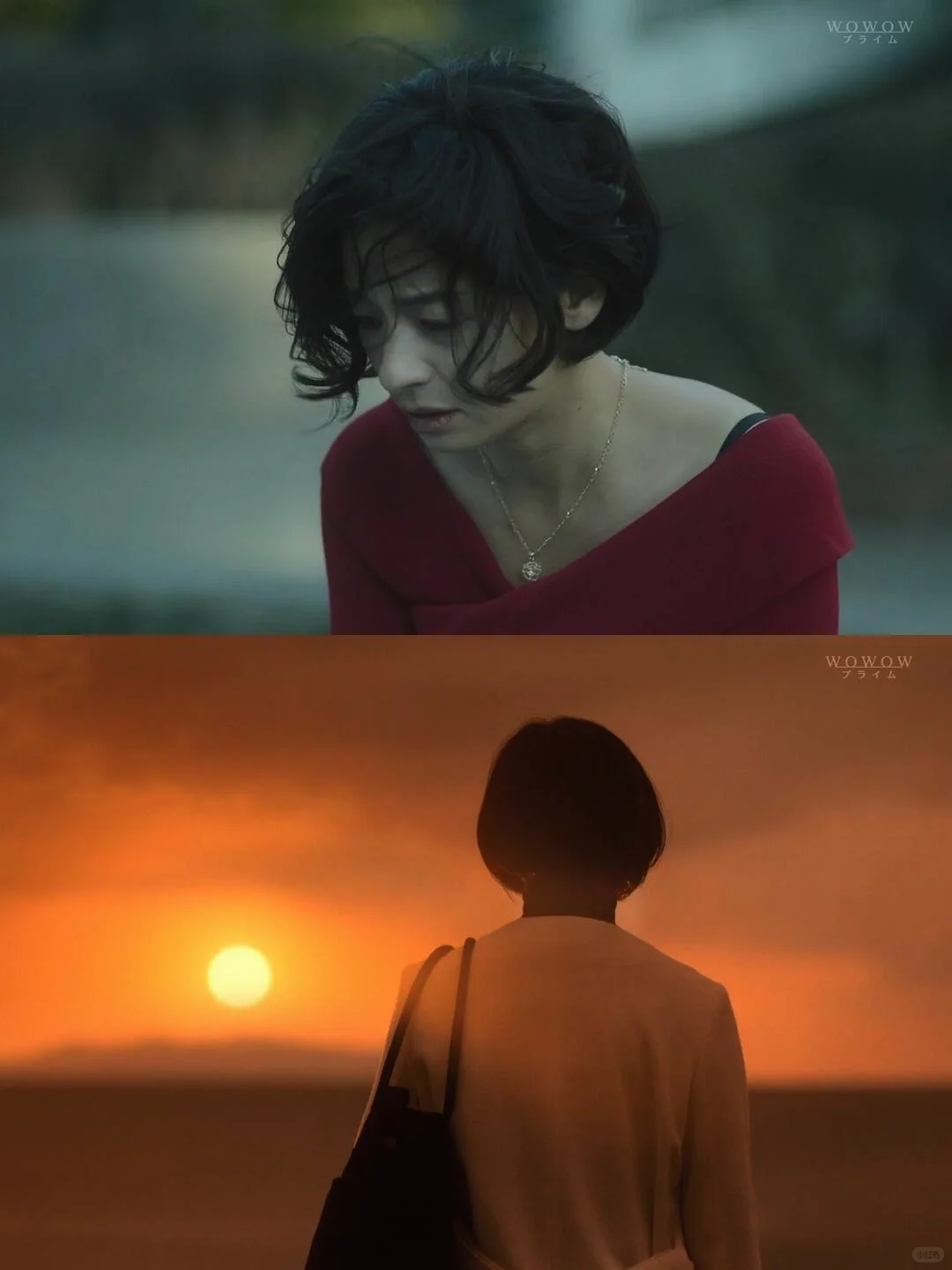 🎬新出的悬疑剧！封神之作！