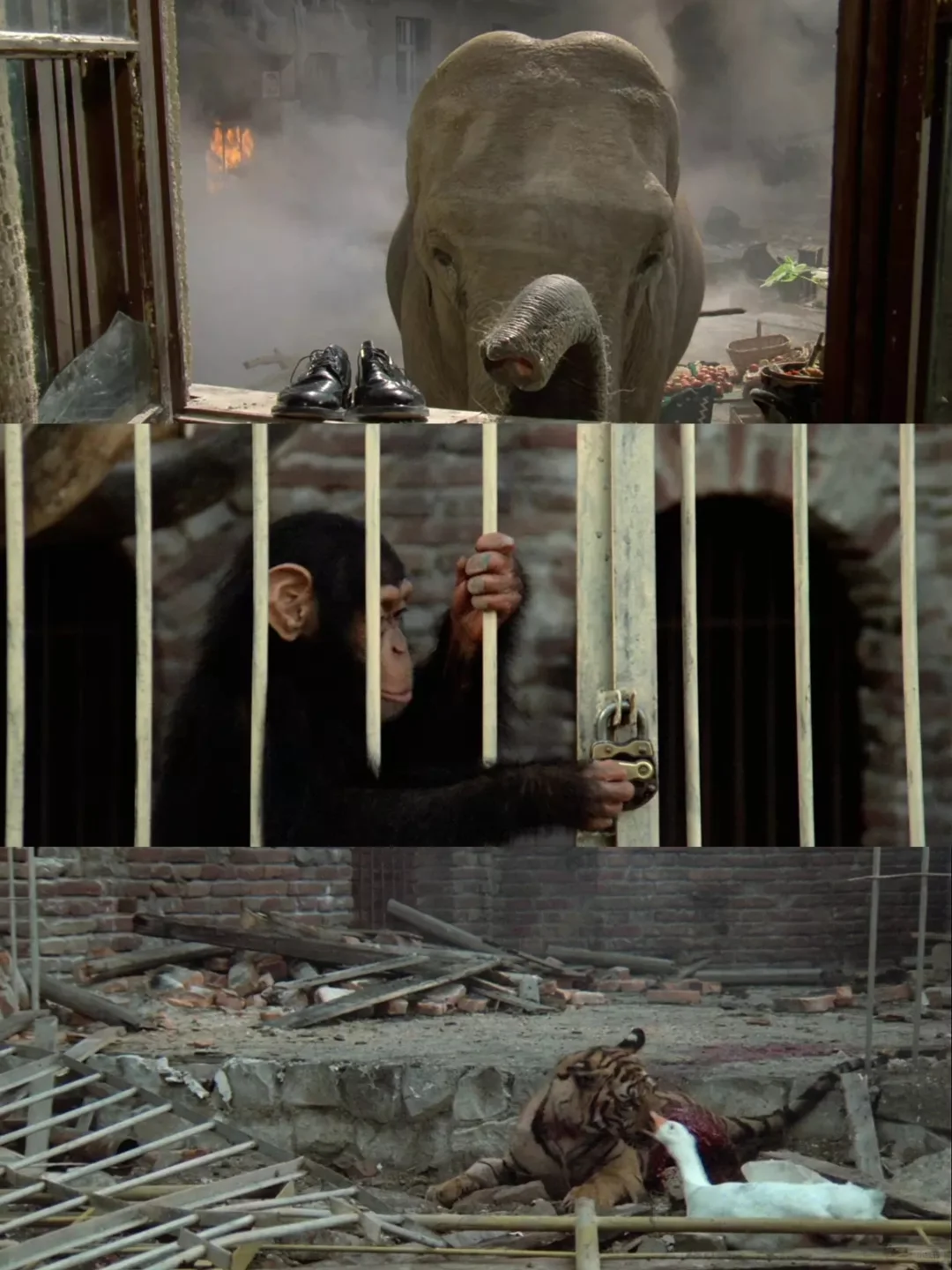 9.2分封神之作，终于解㊙️了，熬夜看🔥