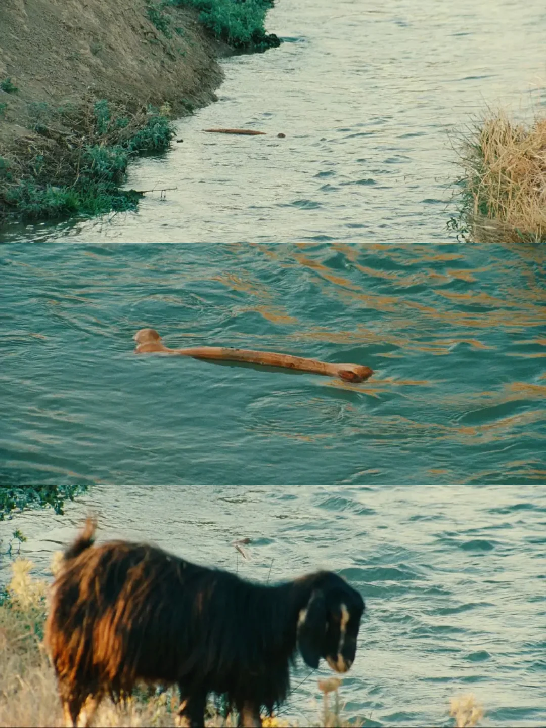 我真的好爱这部电影😭强推给全世界❗️❗️❗️