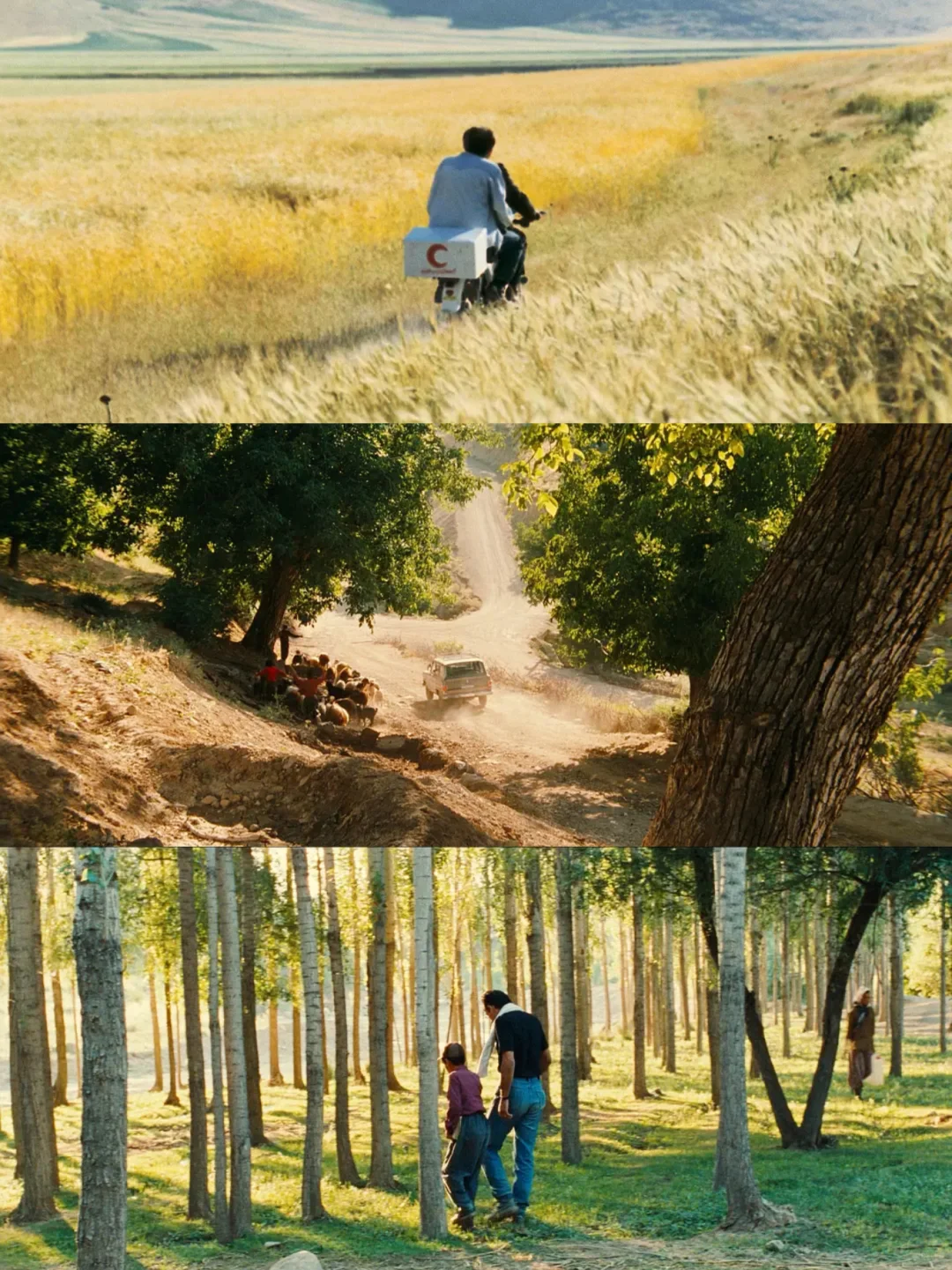 我真的好爱这部电影😭强推给全世界❗️❗️❗️