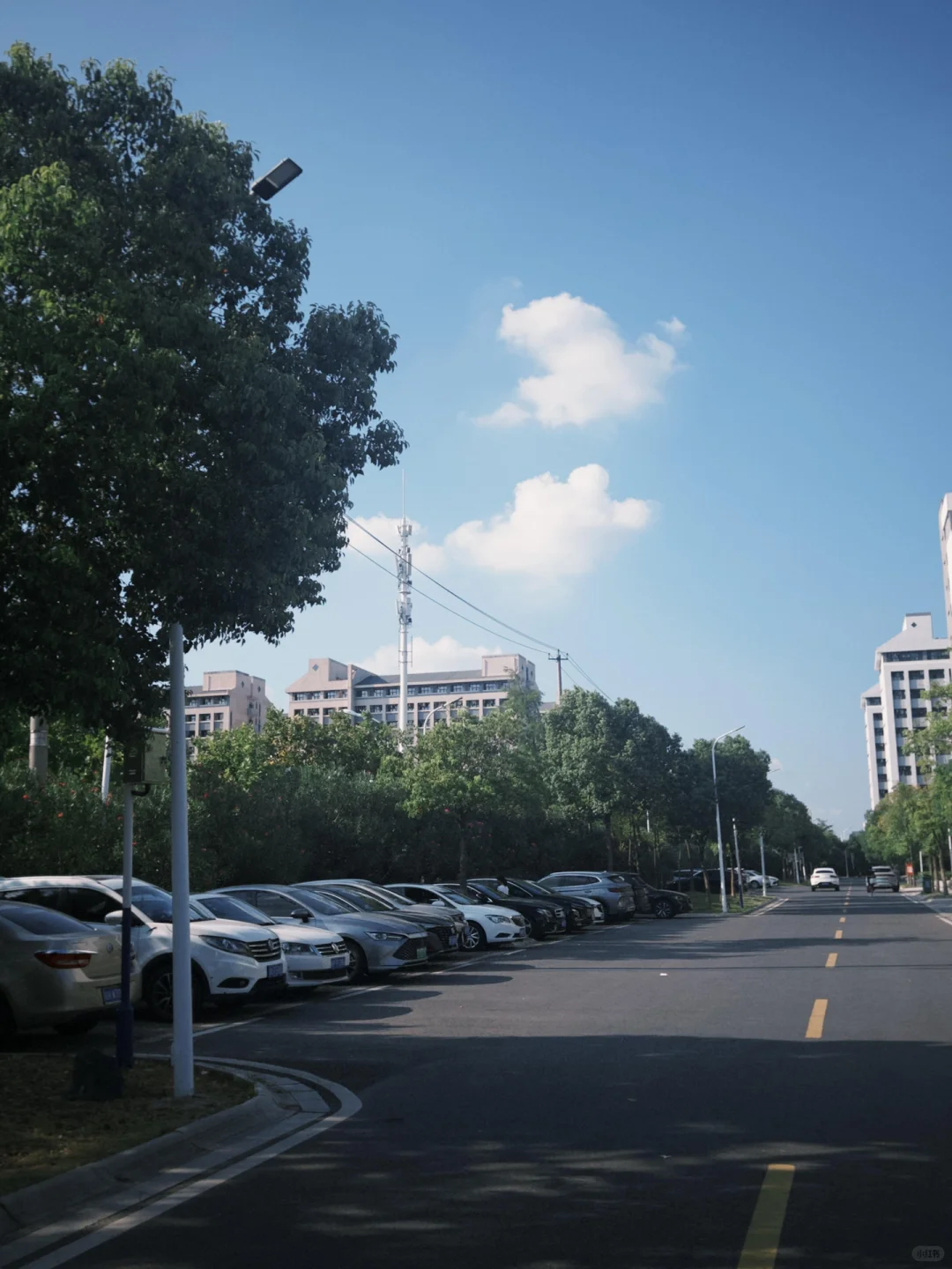 Dazz的安卓版终于来啦！