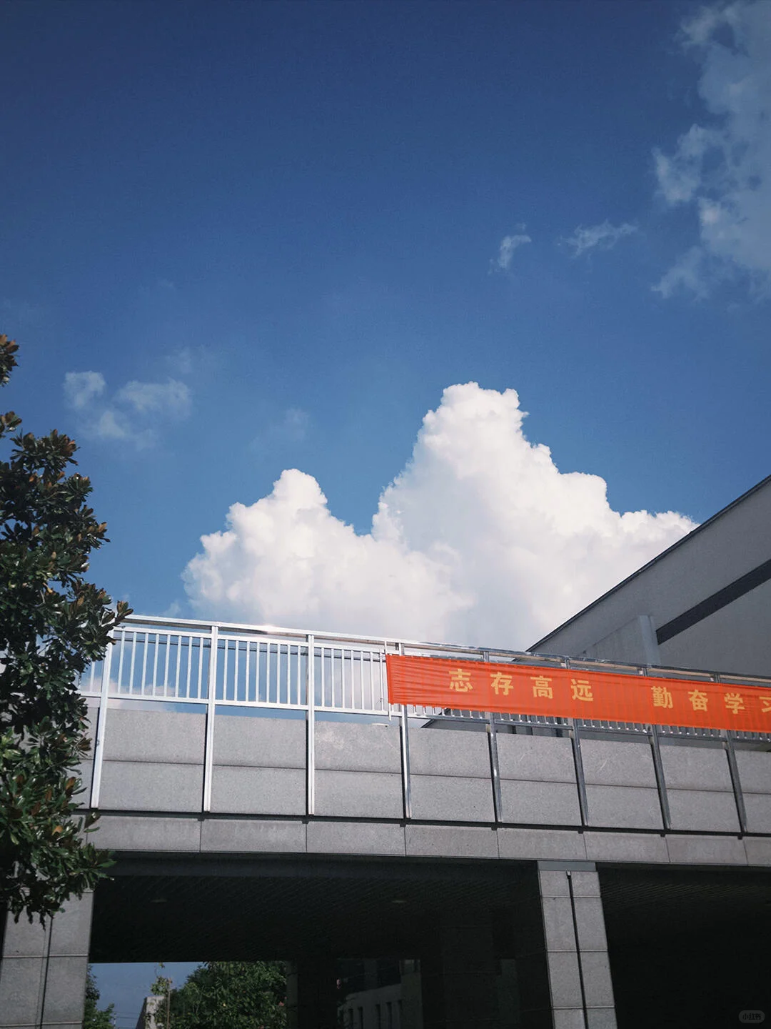 Dazz的安卓版终于来啦！