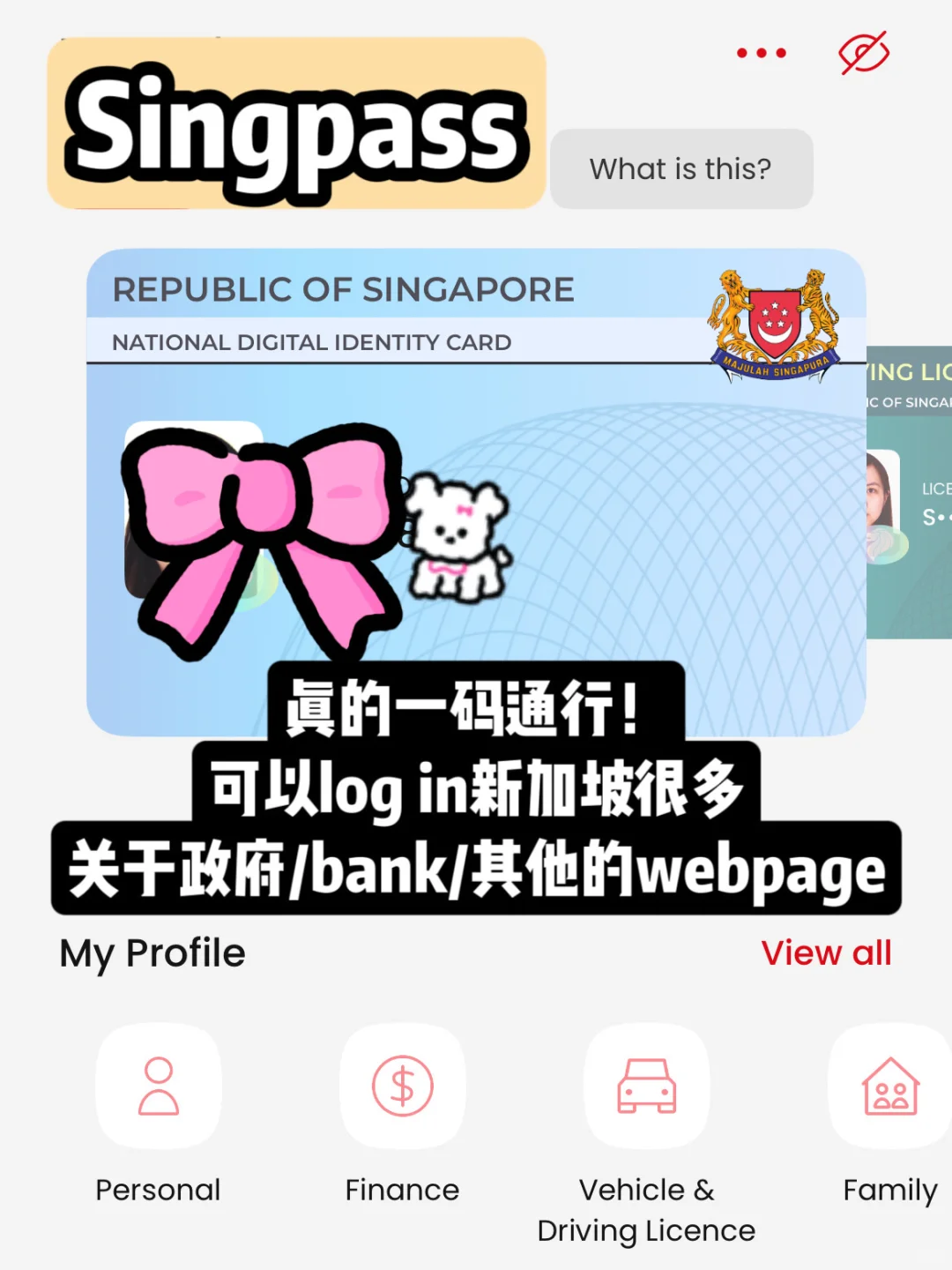 🇸🇬新加坡大多数人都用的APP｜少一个会后悔