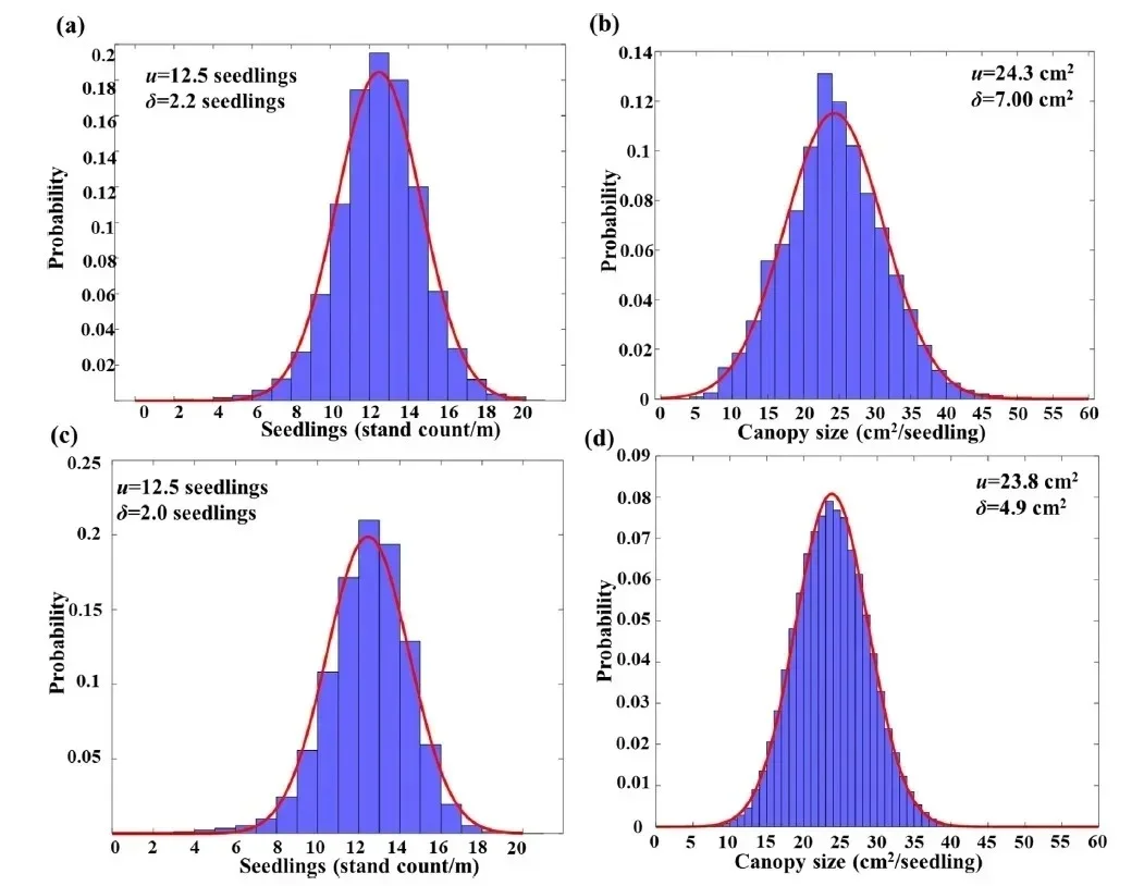 计算机领域，代码编程，深度学习