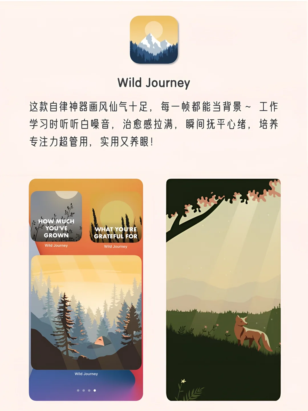 女生手机该有APP！1%电量也要拥有！