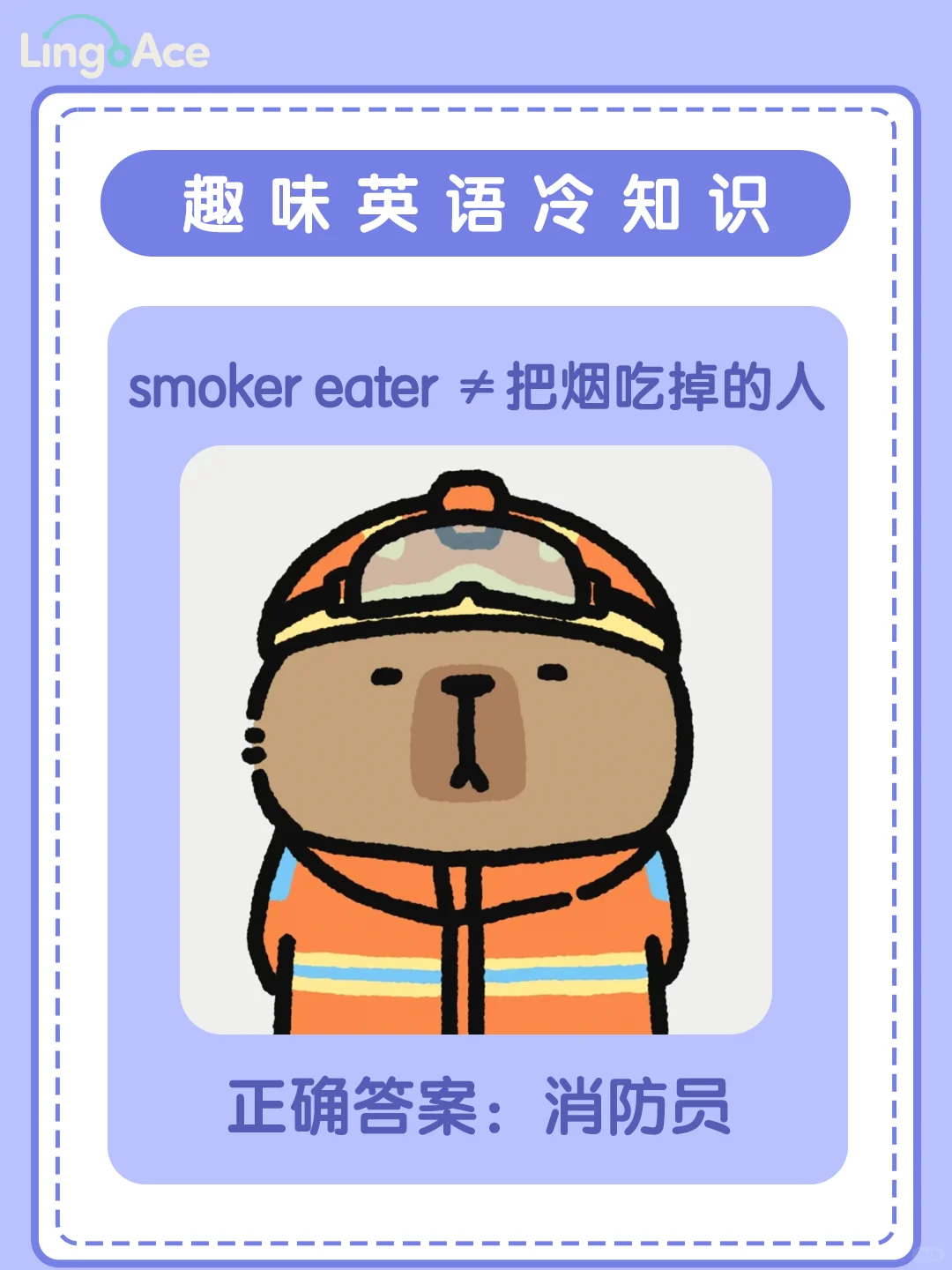 亲子互动🔥超有趣的英语冷知识大公开