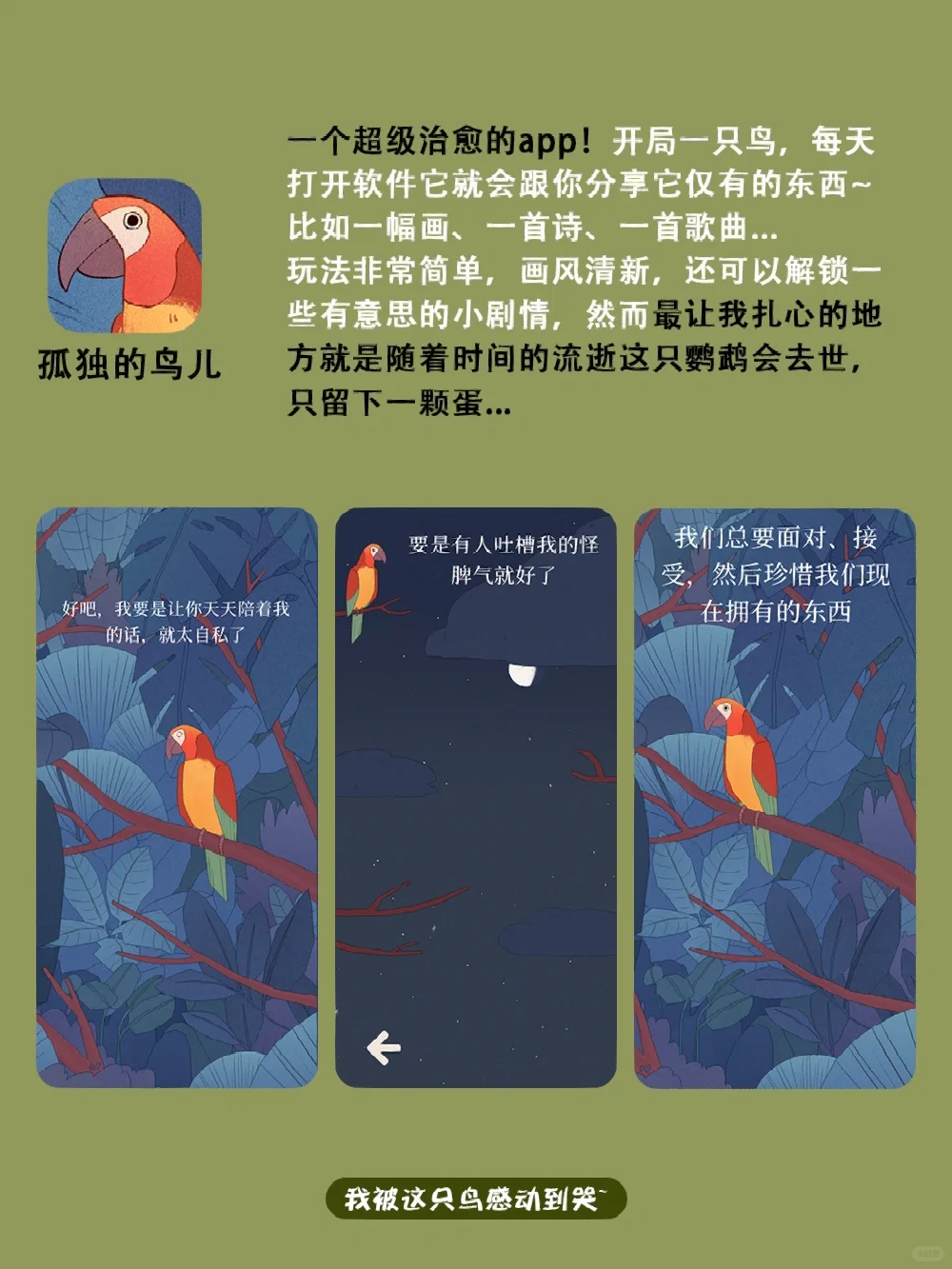 高级感女生手机里的app！！每一个都让人惊艳