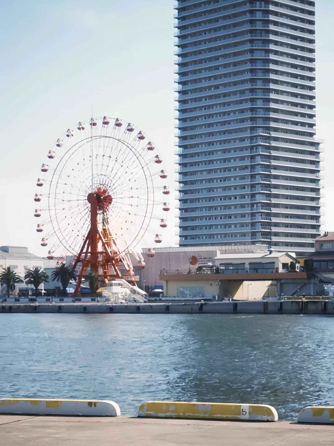 dazz相机永久会员被我找到啦🥳