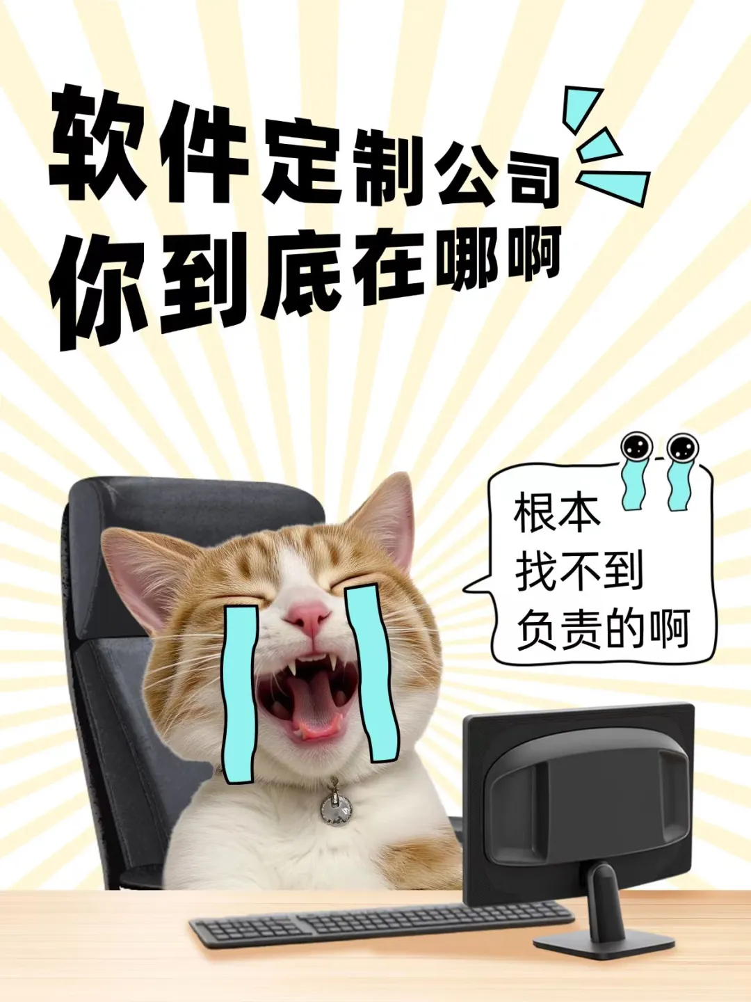 软件定制公司你到底在哪里啊！！