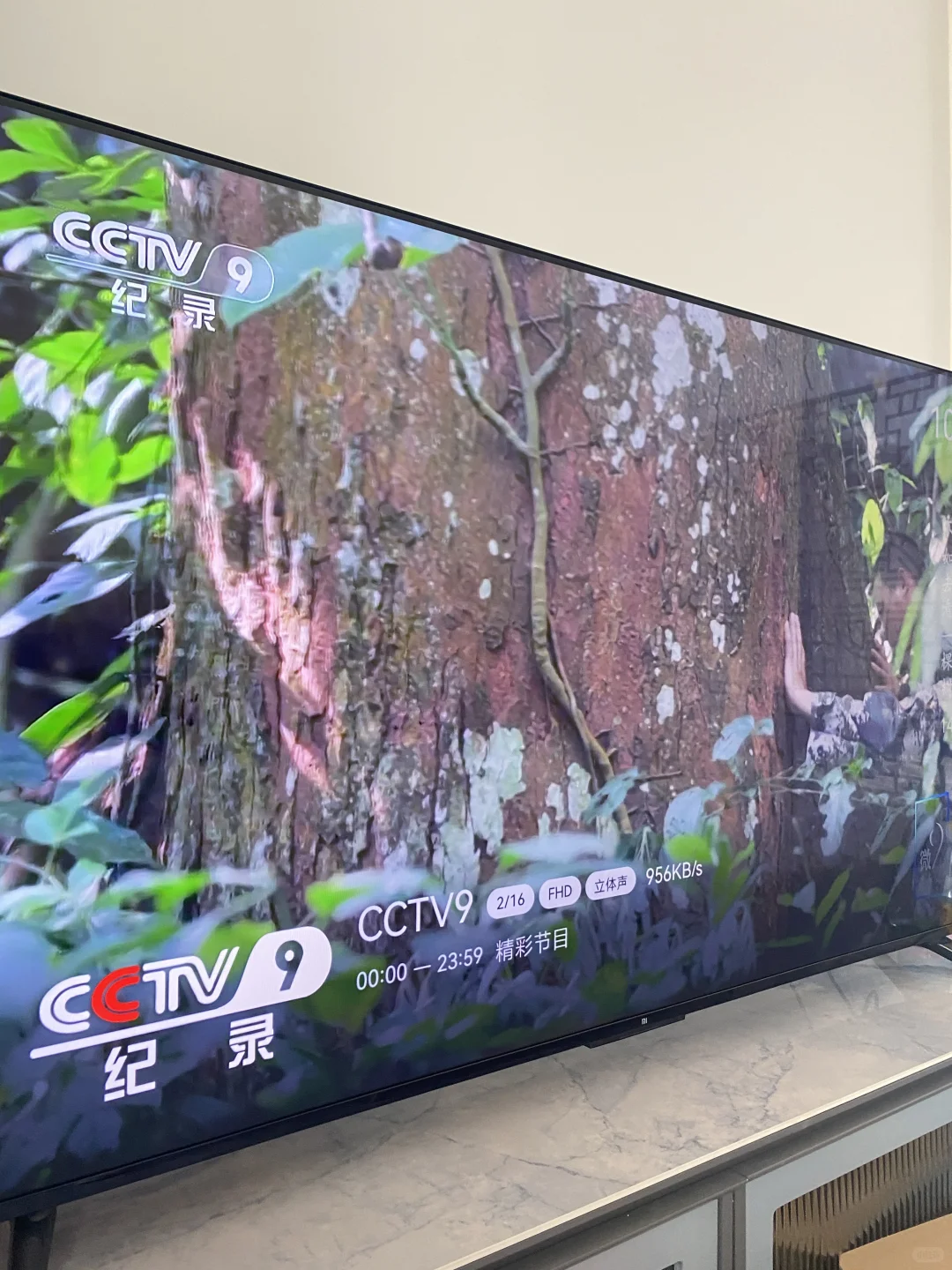 智能电视大雨在家看电视直播安全感满满