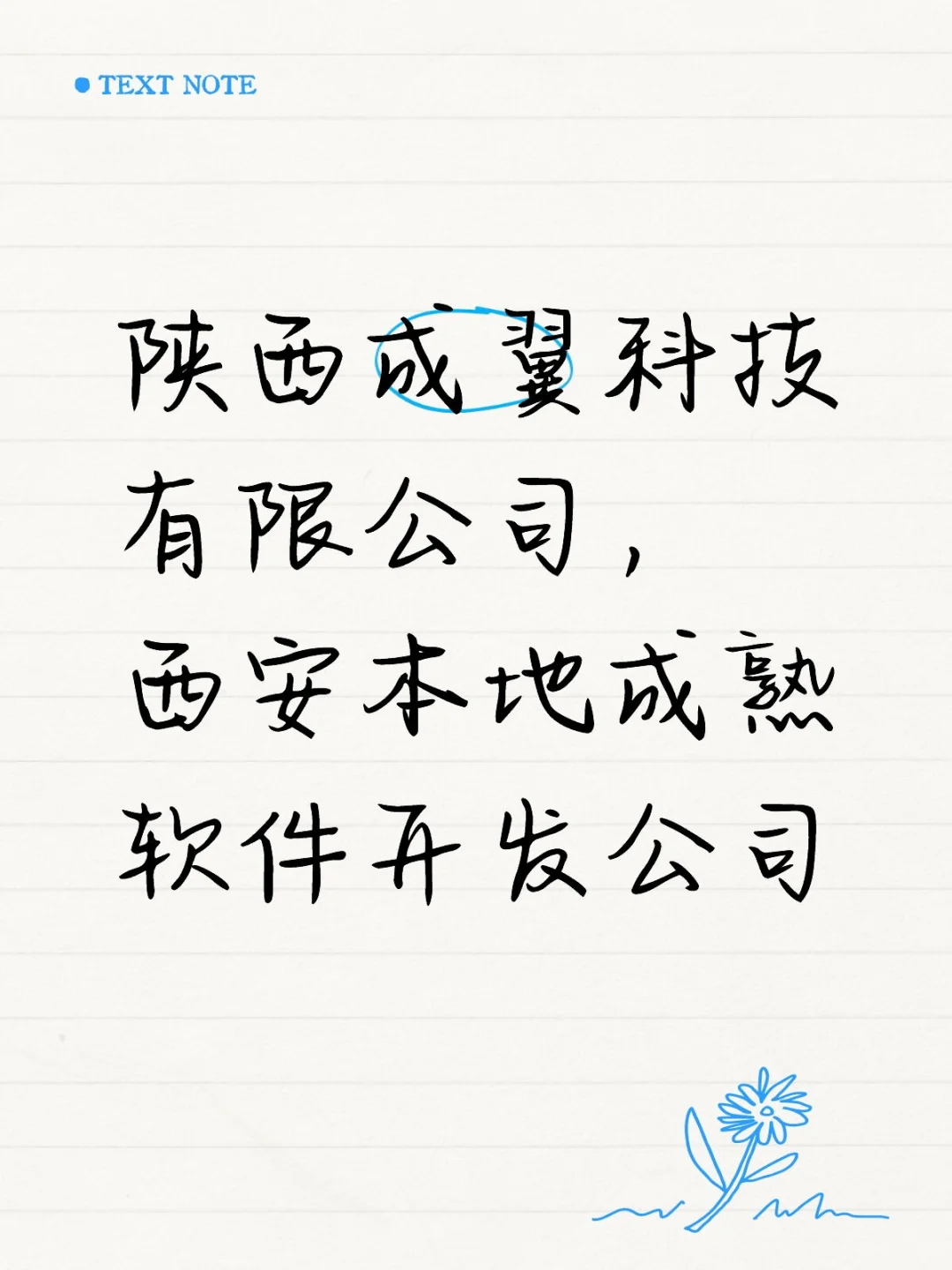 西安本地实体软件开发公司欢迎面谈