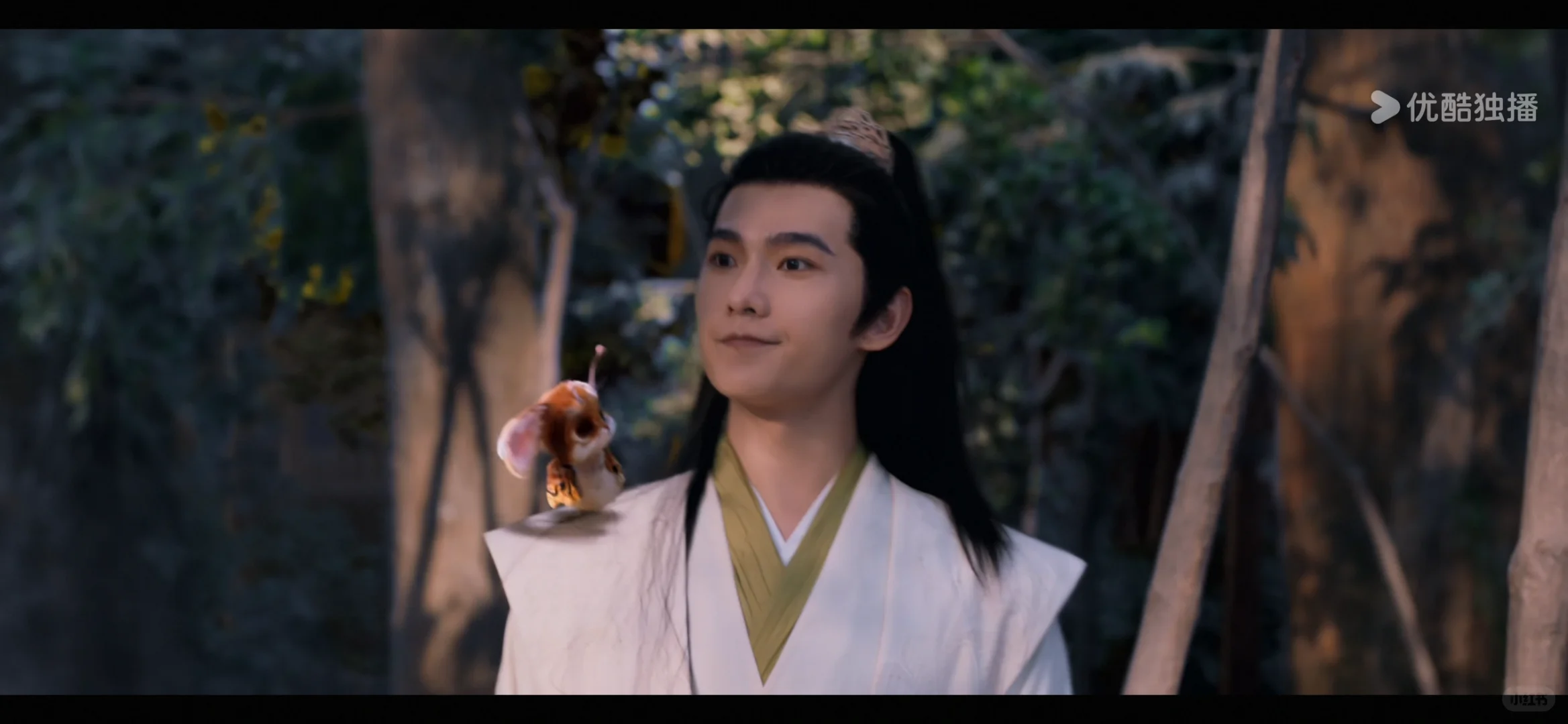 这才是免费看剧app