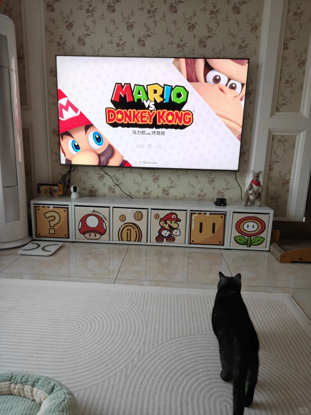 网购成功电视柜